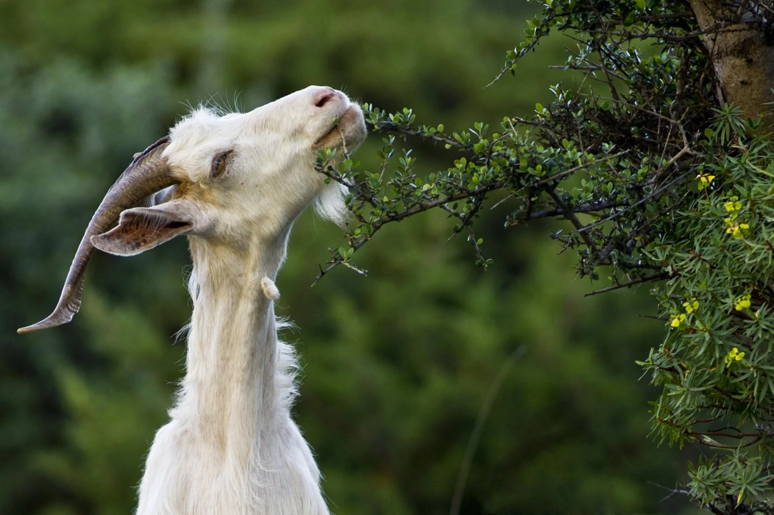 Day in Hotel Brancamaria