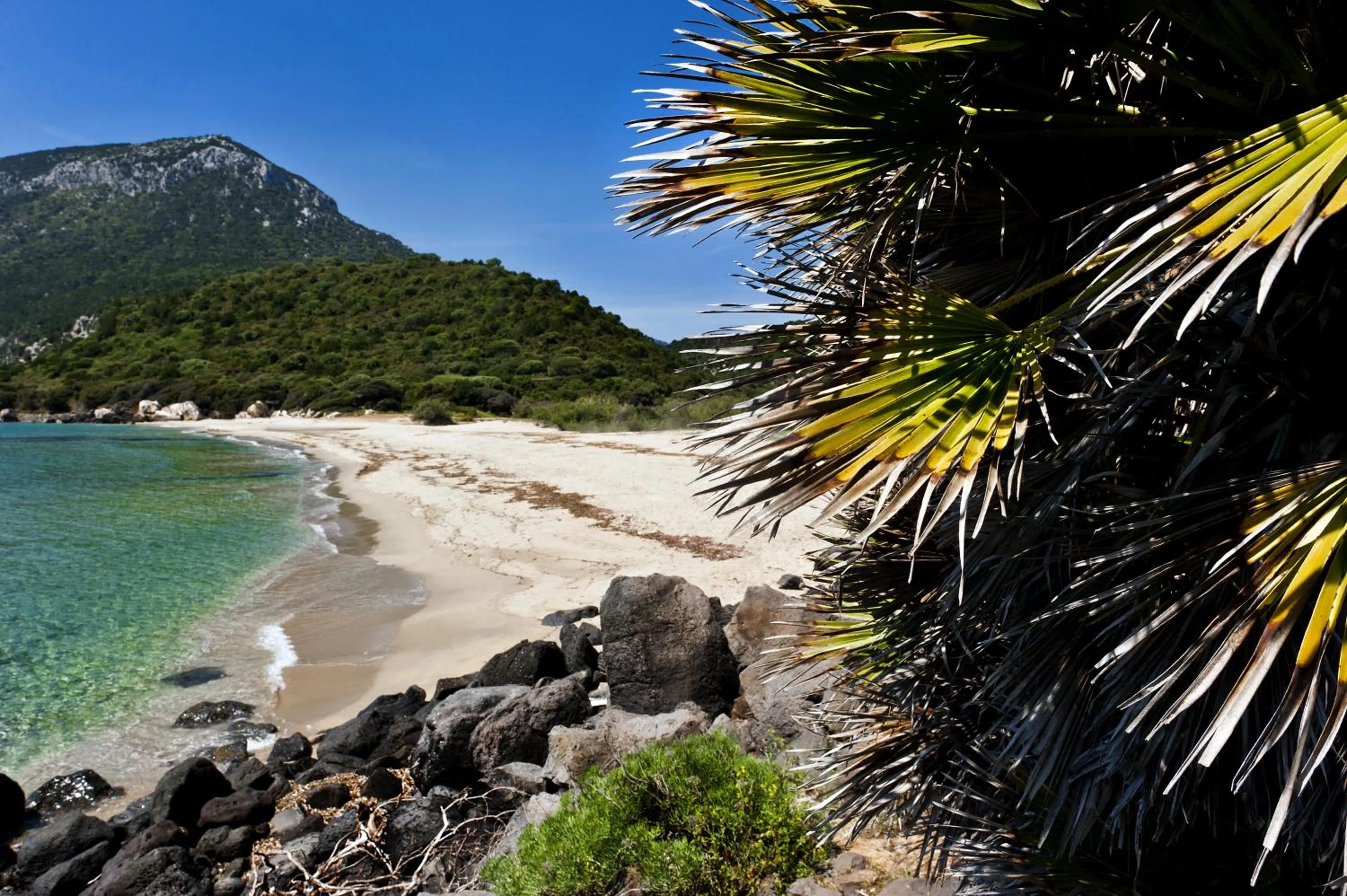 Day in Hotel Brancamaria