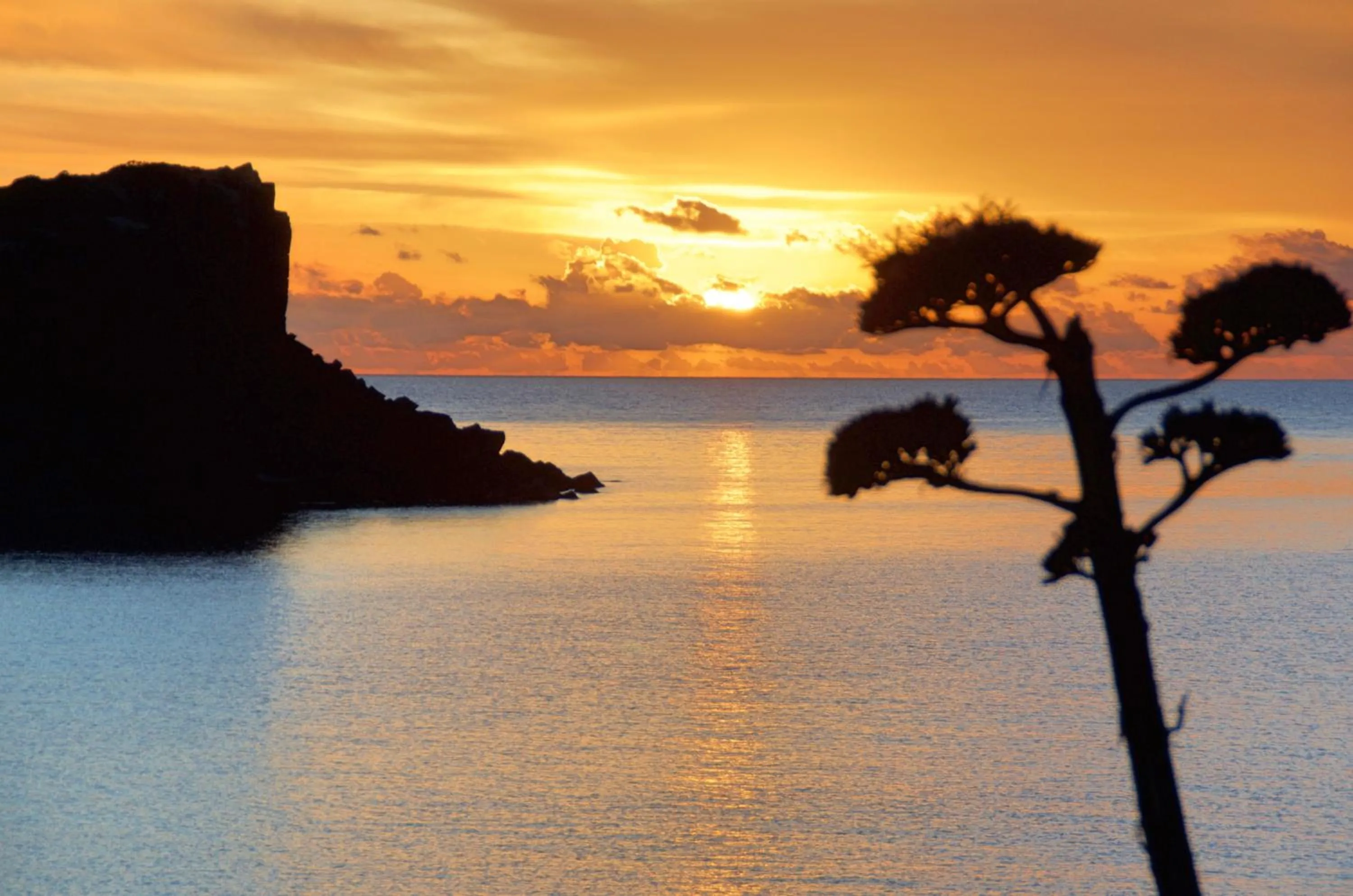 Off site in Nichotel