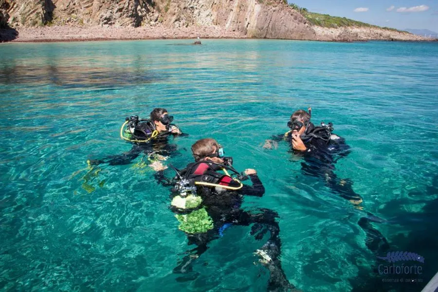 Off site in Nichotel