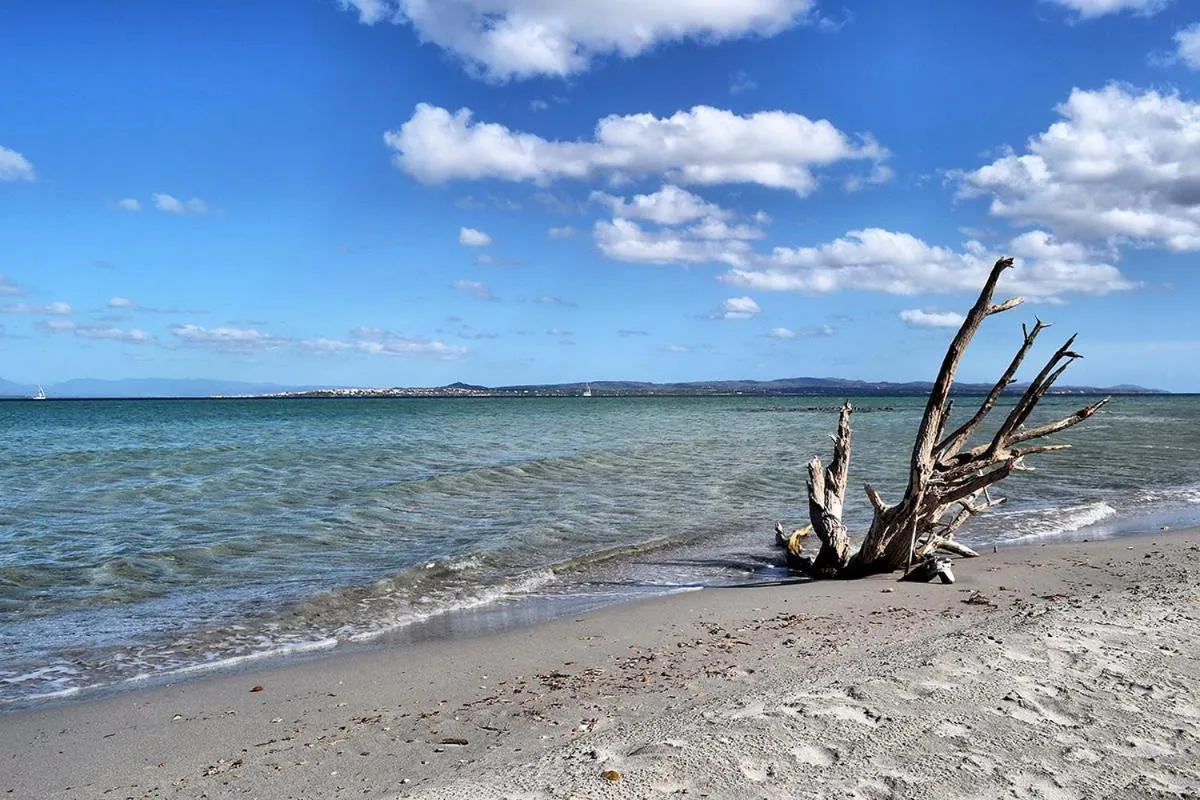 Off site in Nichotel