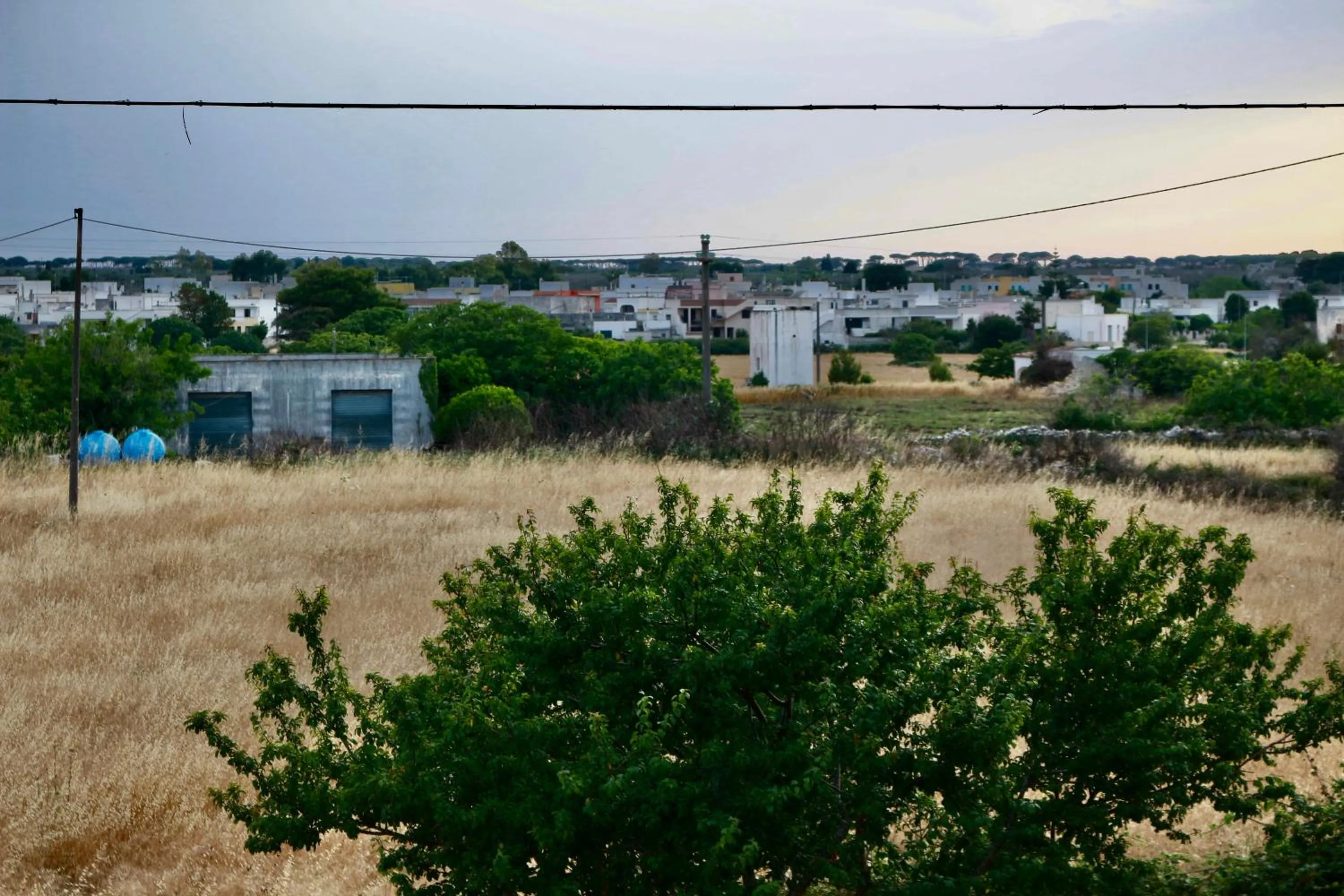 Balcony/Terrace in Monte Cuccu Bed & Breakfast