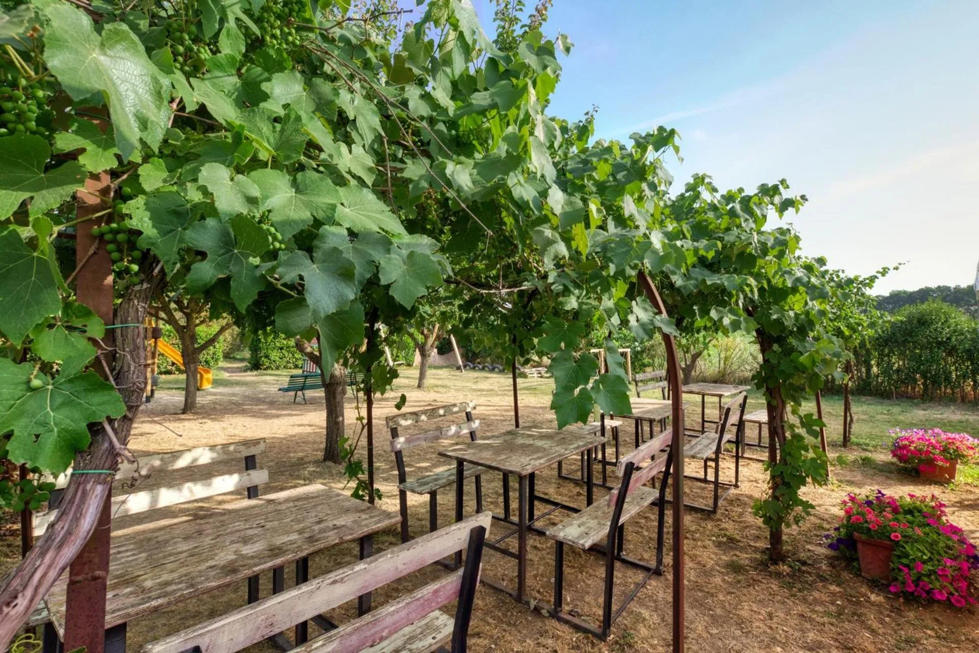 Restaurant/places to eat in La Casa Di Campagna