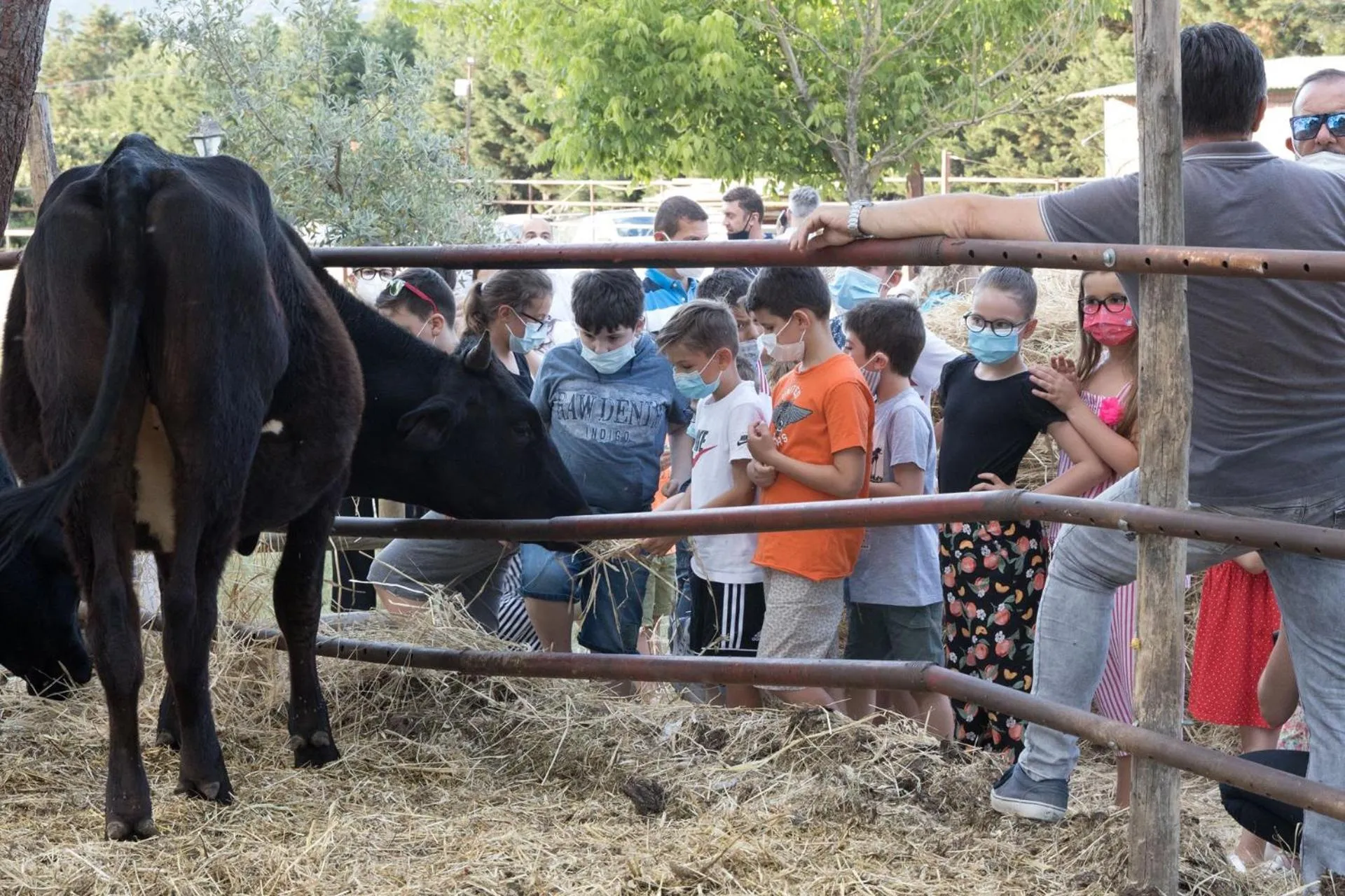 Animals in La Casa Di Campagna