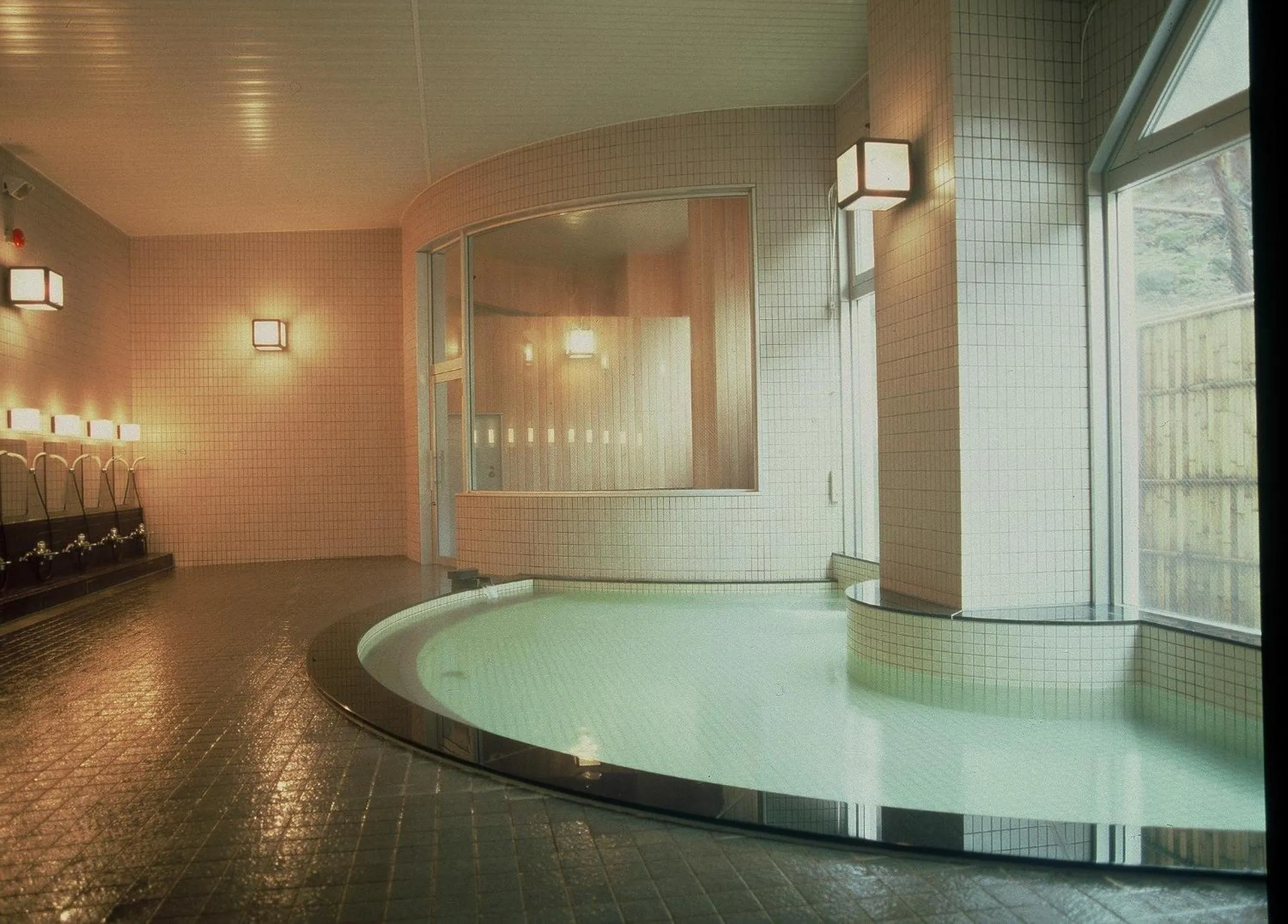 Hot Spring Bath in Mount View Hotel