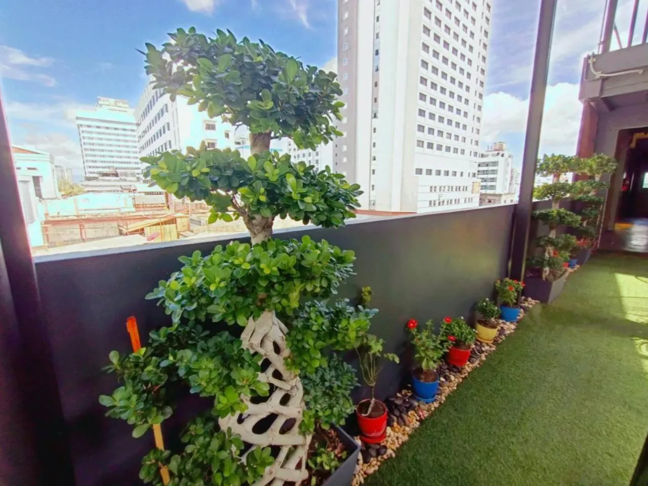 Garden in Icon Hotel Hatyai