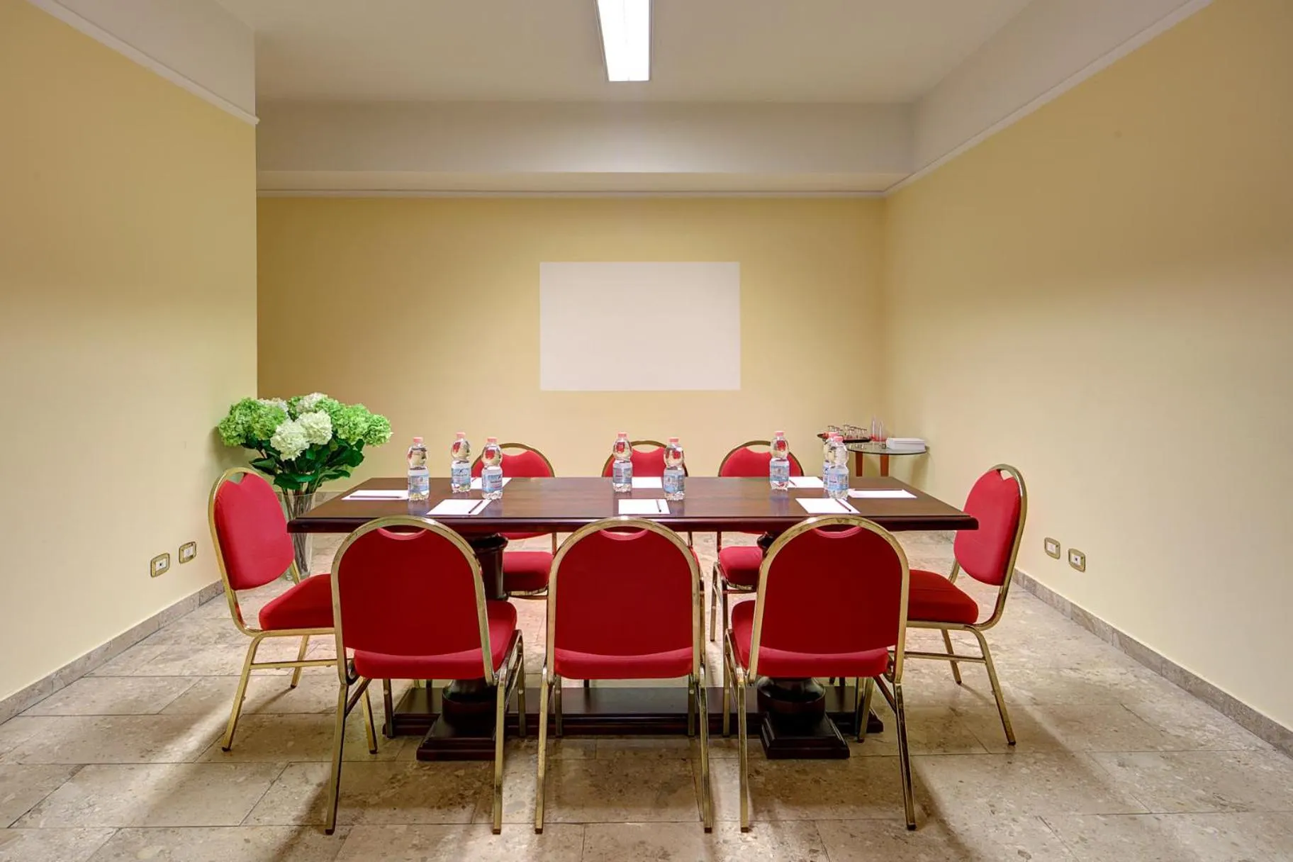 Business facilities in Hotel Mythos