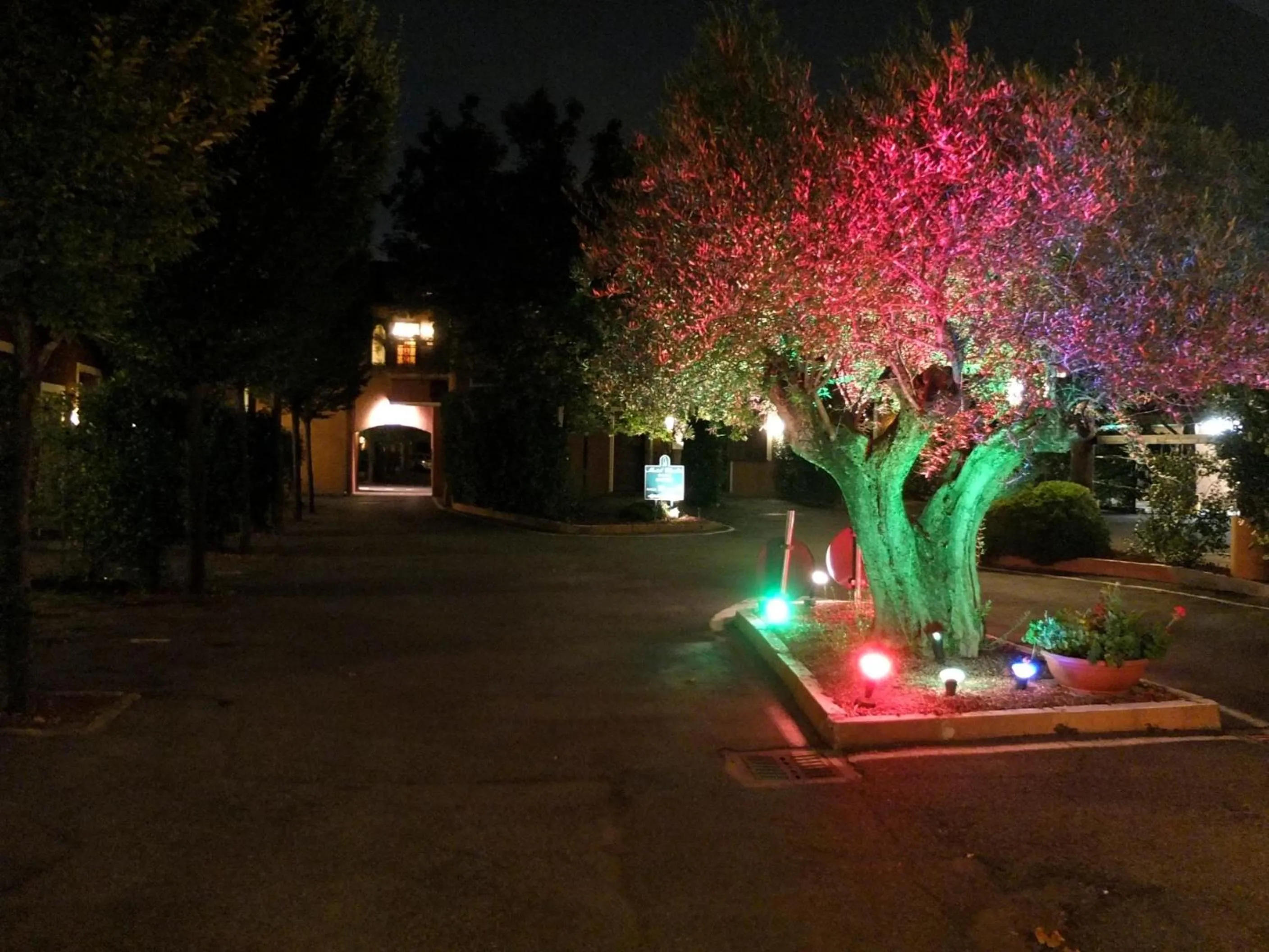 Garden in Motel Hotel Charlie