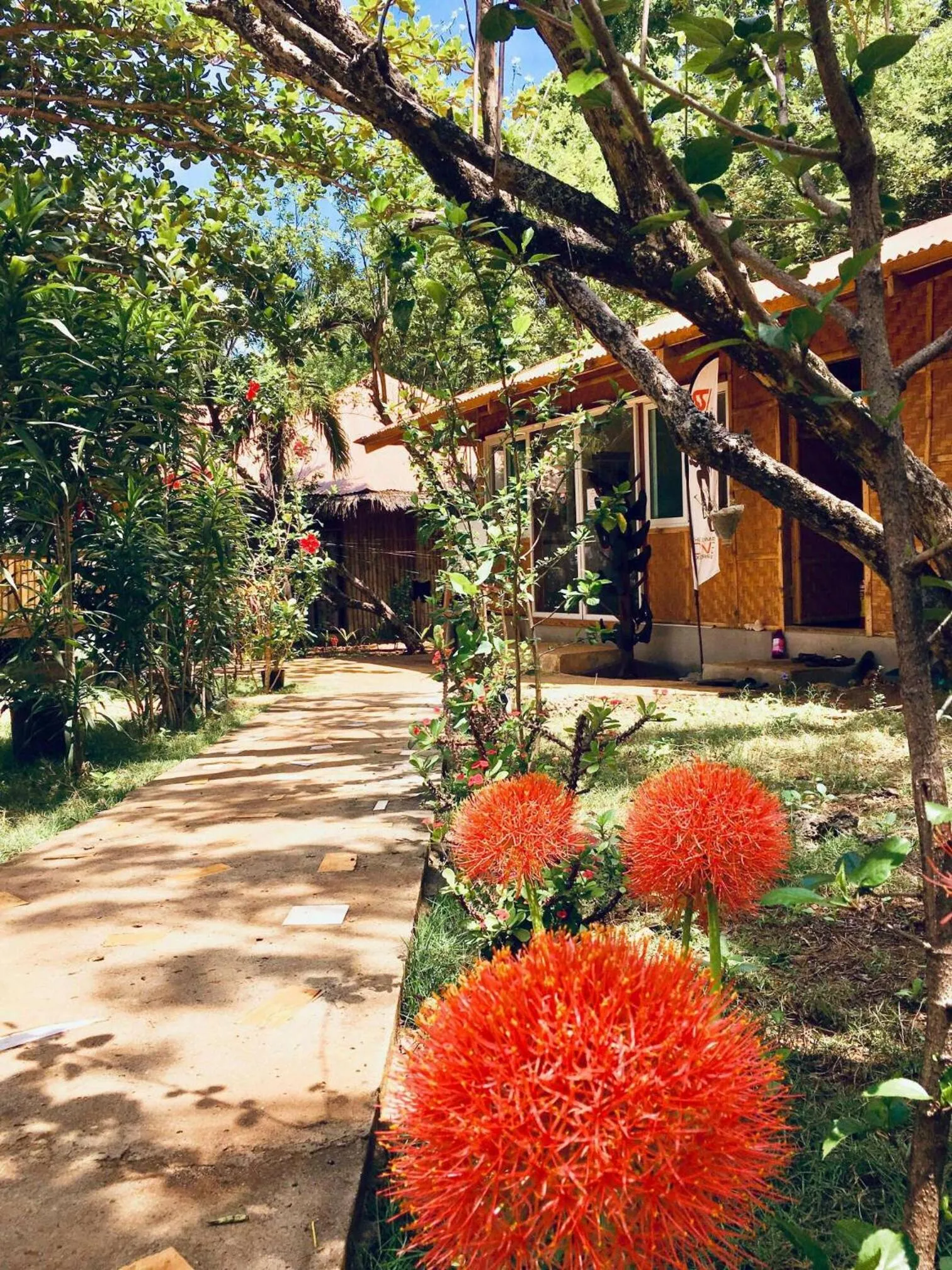 Garden in Tori's Backpacker's Paradise