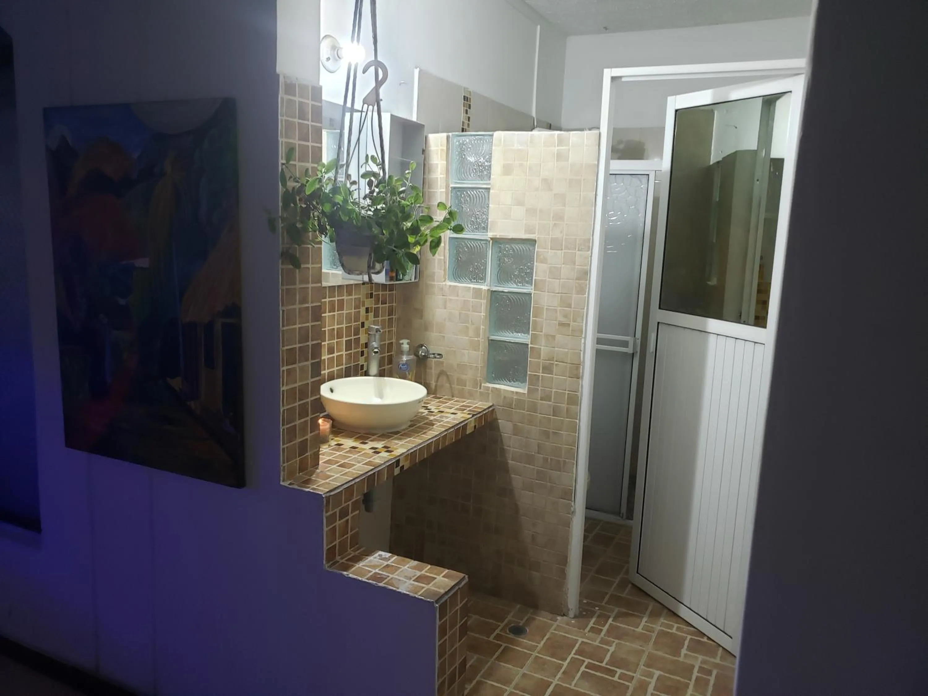 Bathroom in Mom's house Colombia