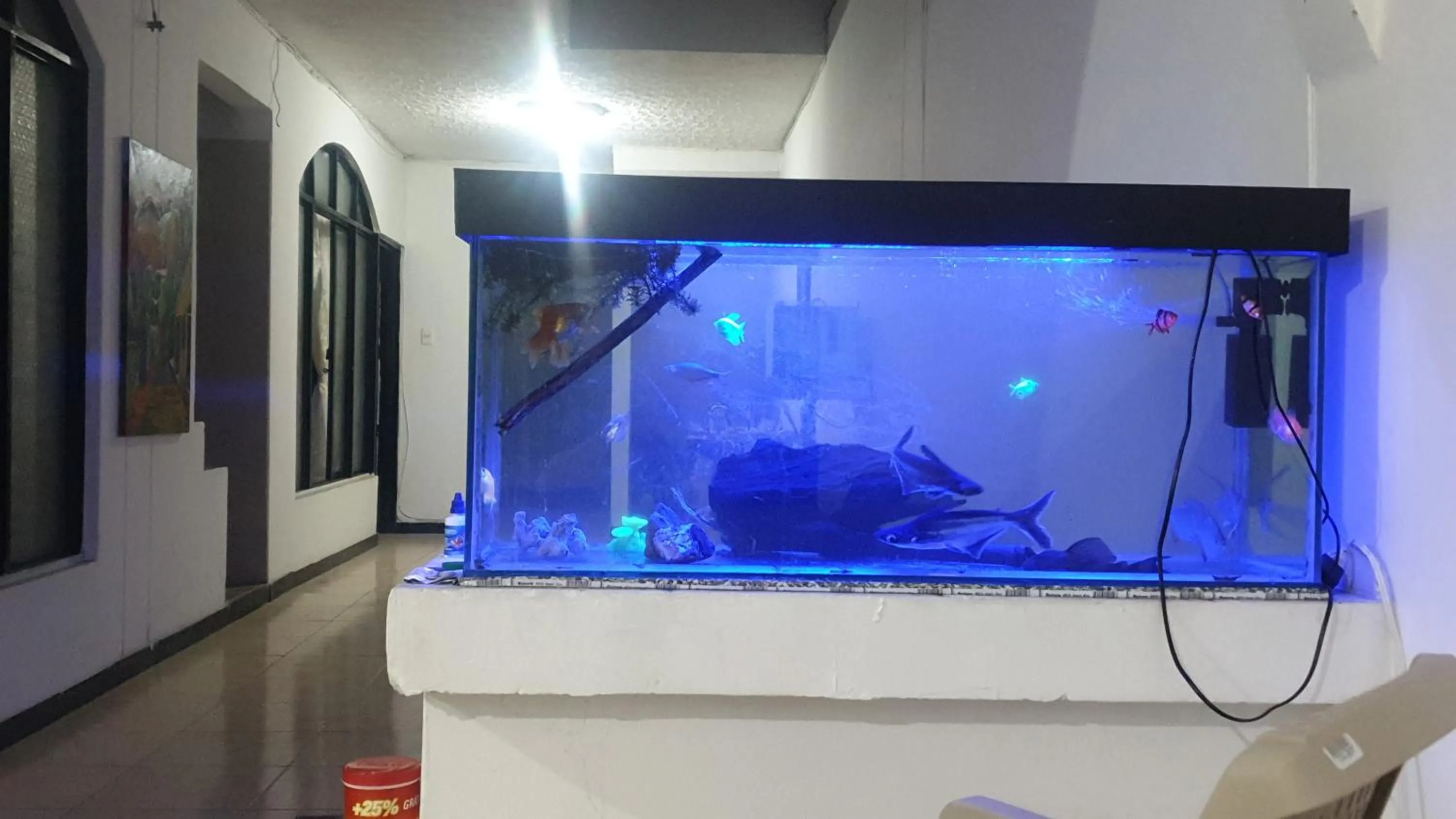 Property building in Mom's house Colombia