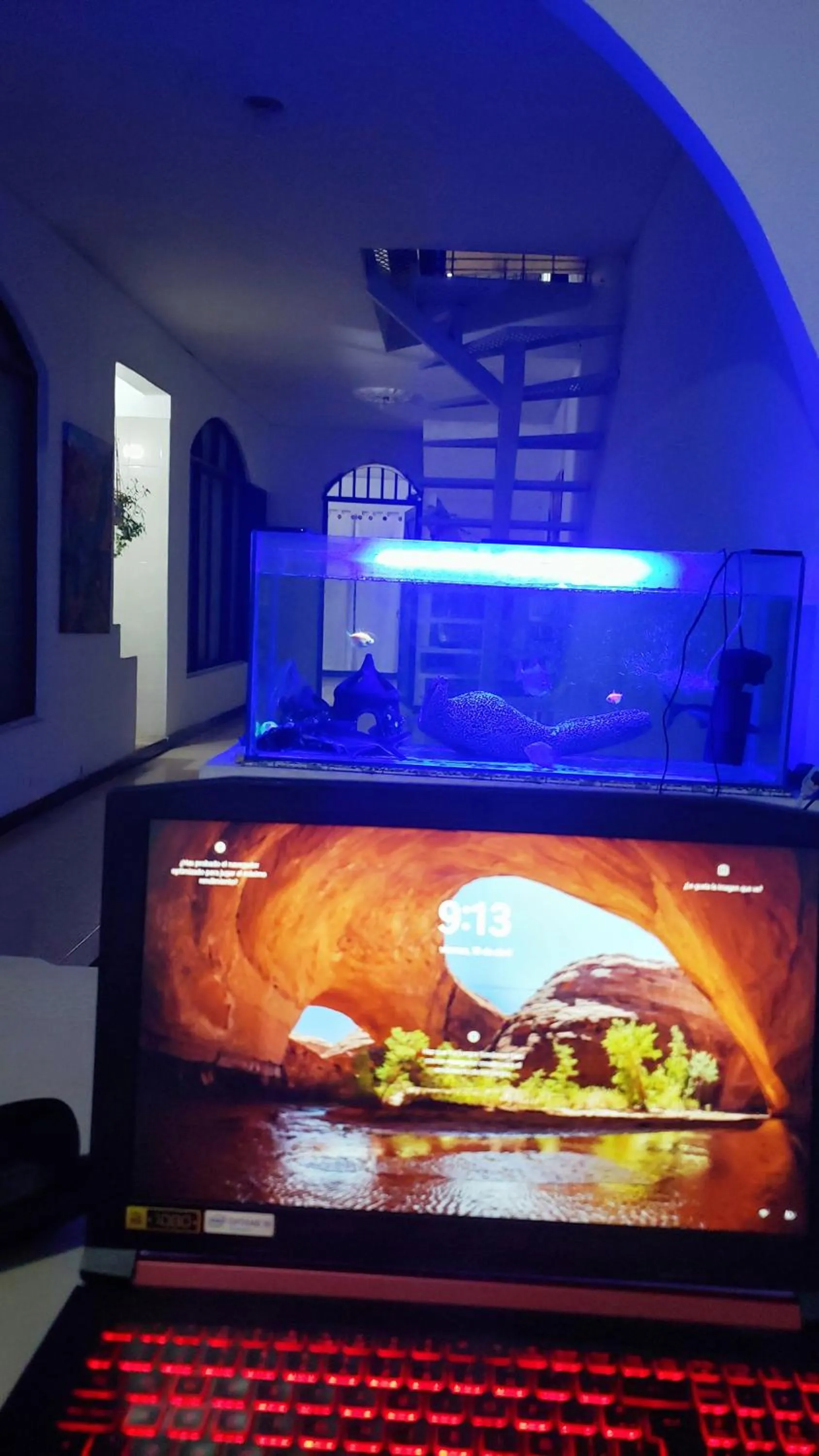 Kitchen or kitchenette in Mom's house Colombia