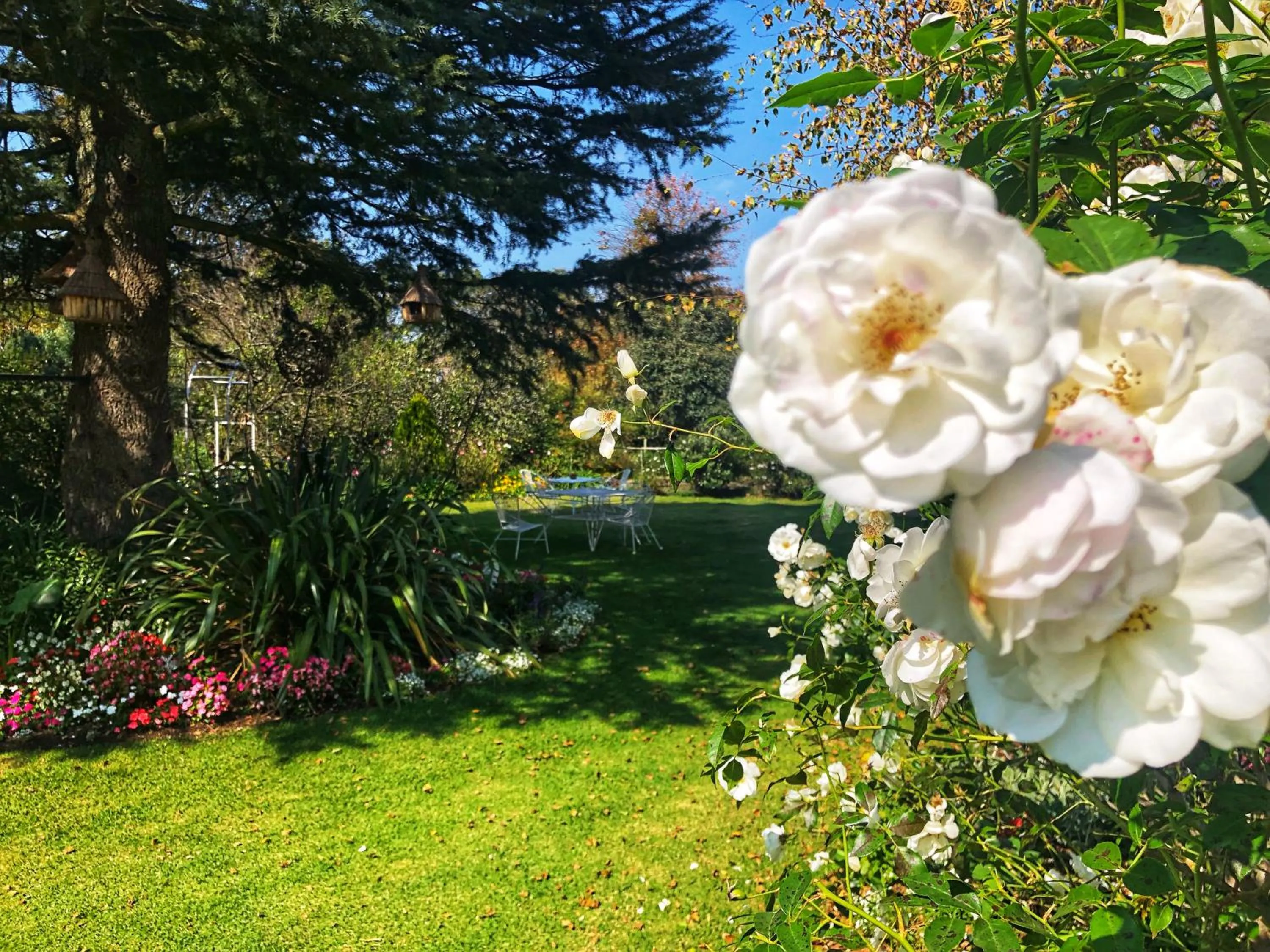 Garden in Green Lantern Inn