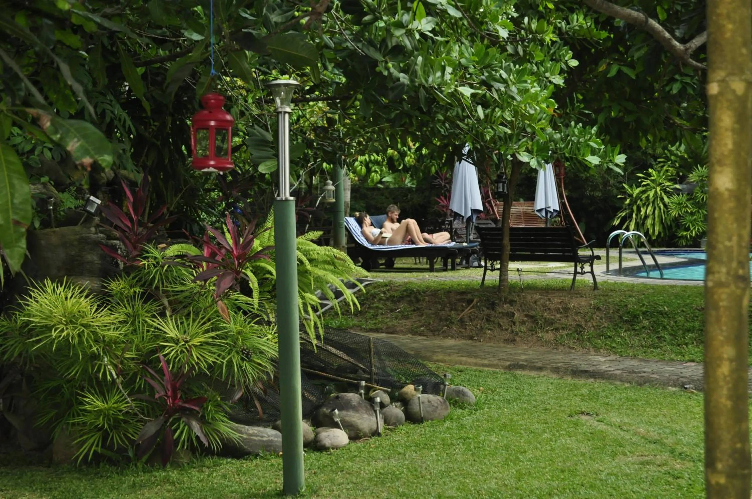 Swimming pool in Villa 80