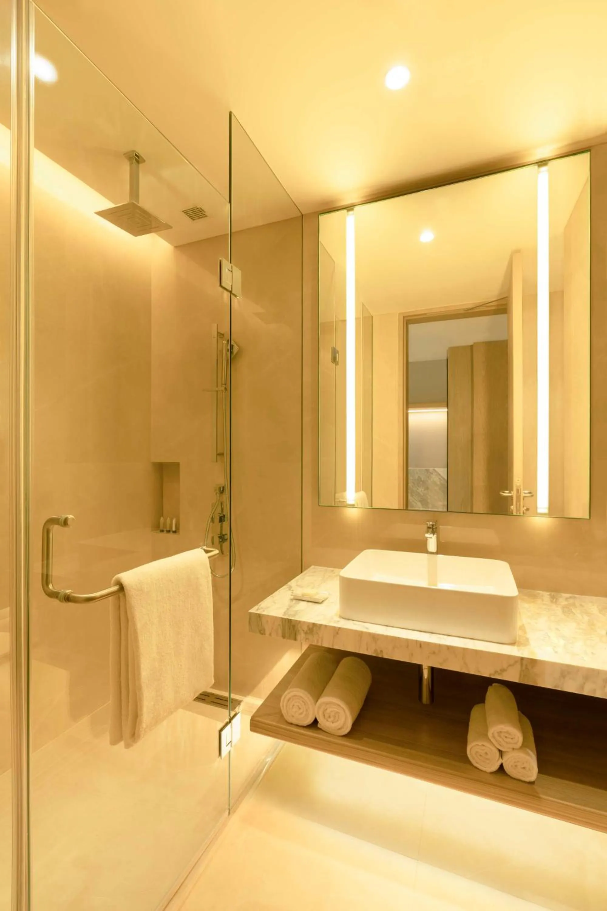 Bathroom in Hyatt Place Bharuch