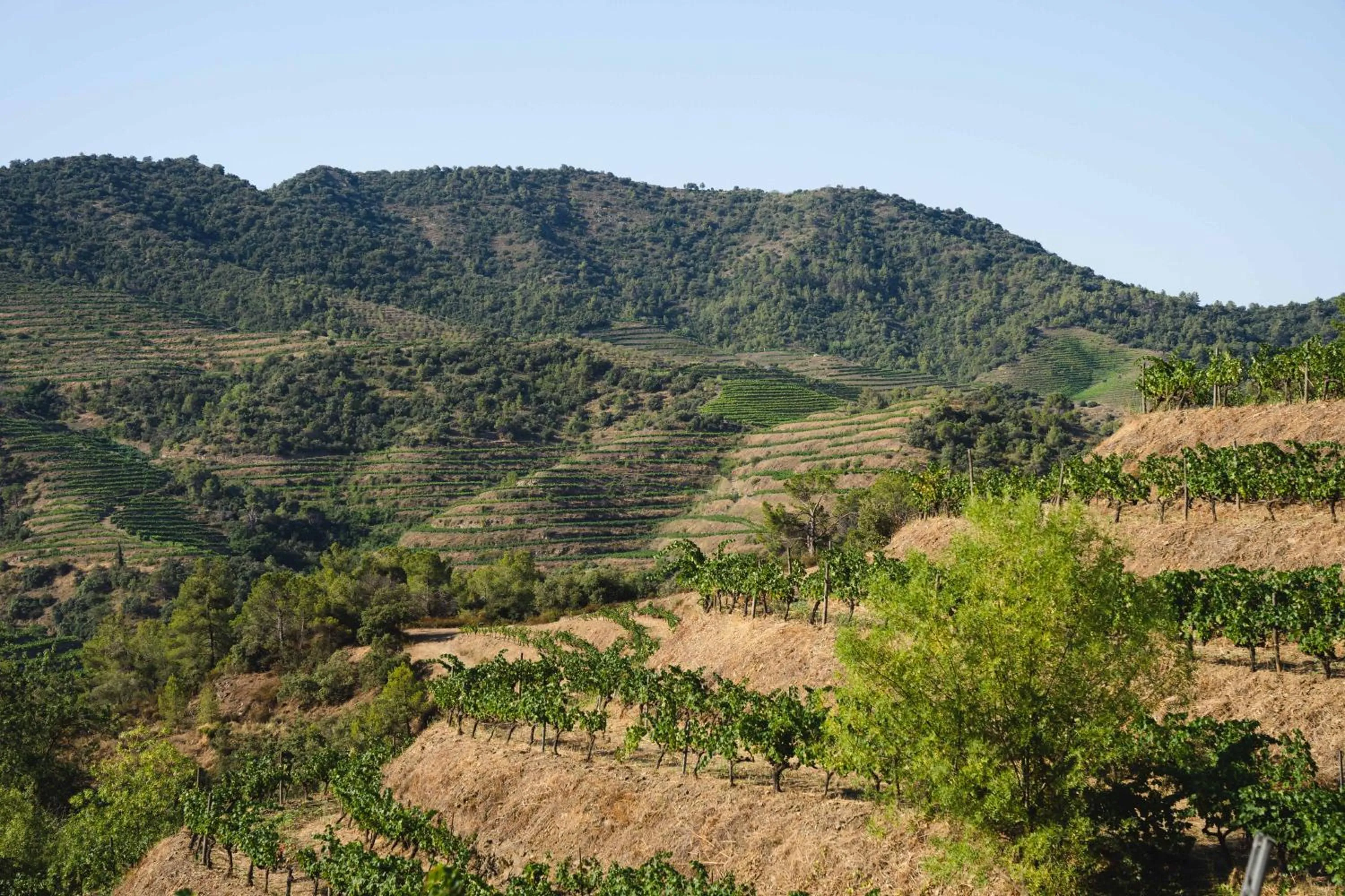 Natural landscape in ORA Hotel Priorat, a Member of Design Hotels