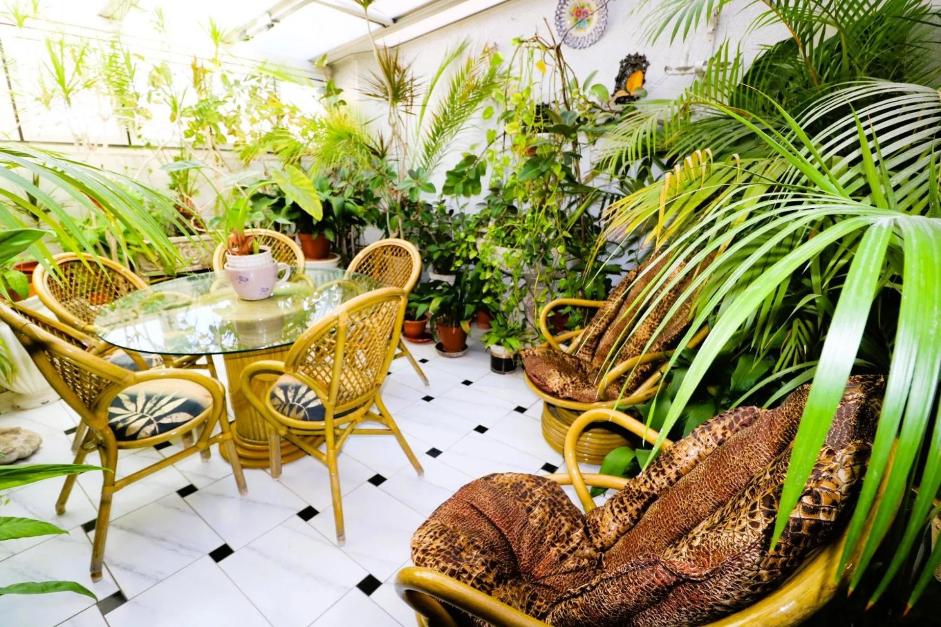 Hostal Hispano - Argentino Gran Vía