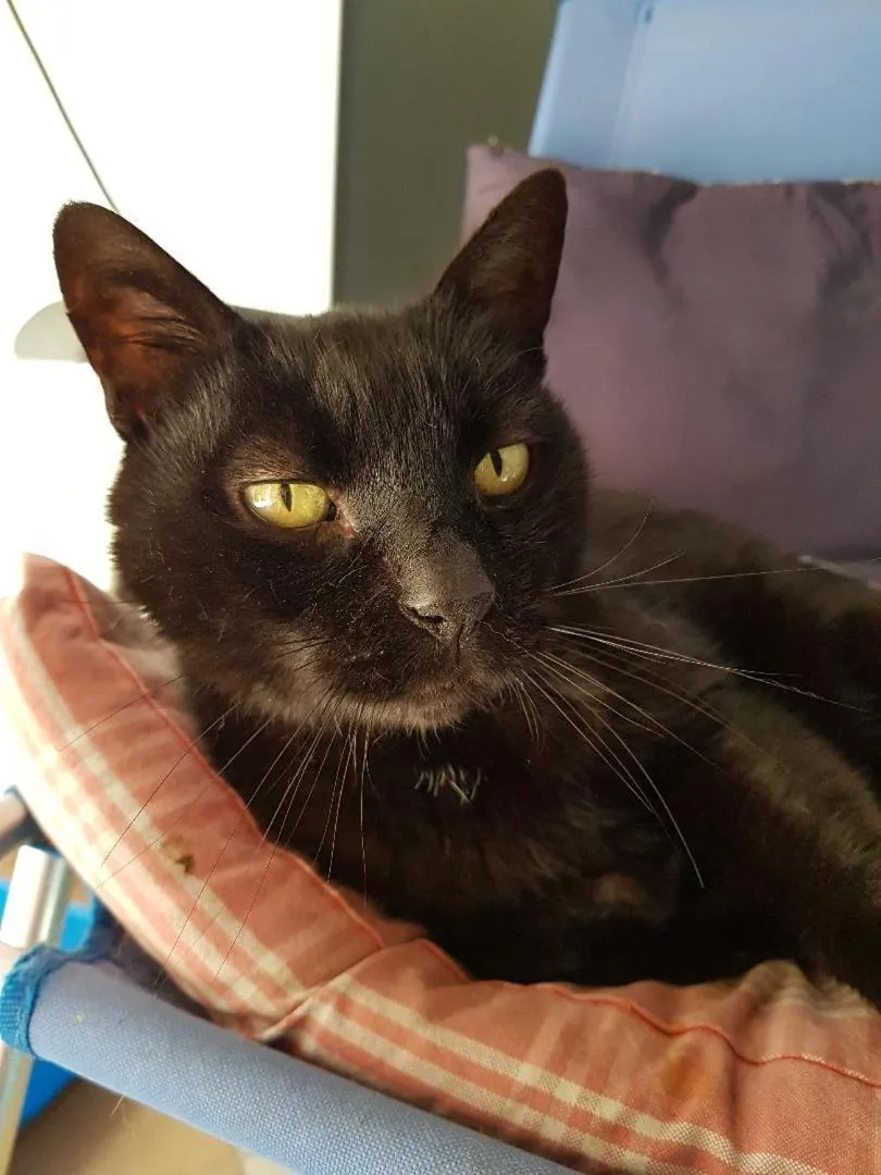 B&B Casa San Jacopo al Giardino