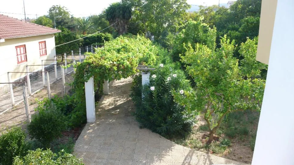 Garden in ANAMAMA -SOCRATES studios