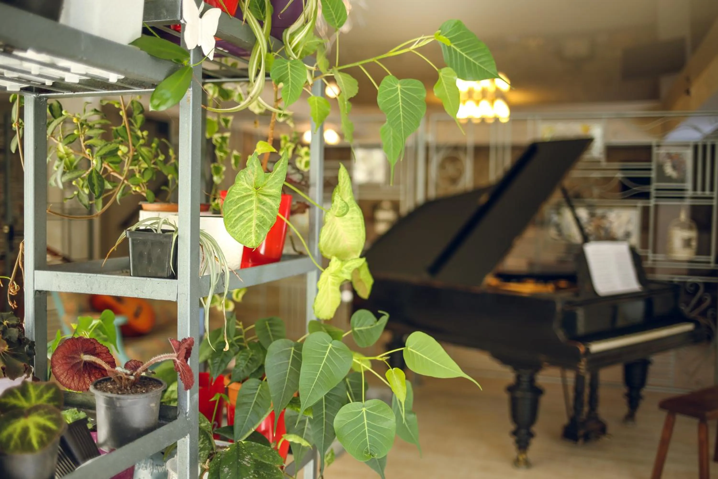 Lounge or bar in Hotel Kera