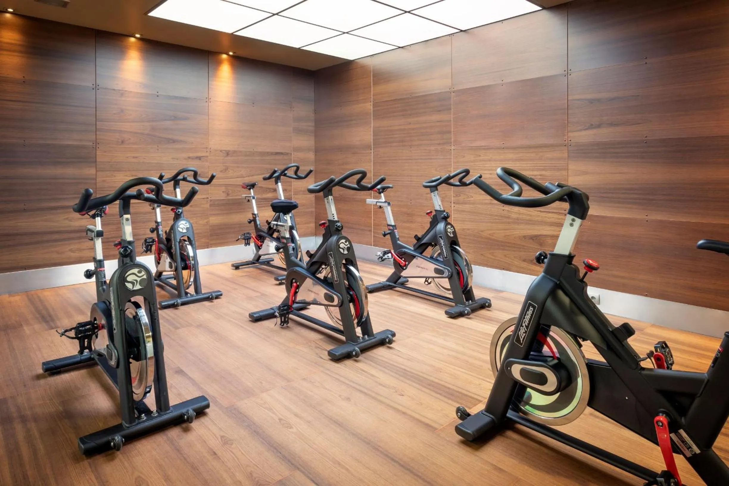 Fitness centre/facilities in Melia Avenida de America