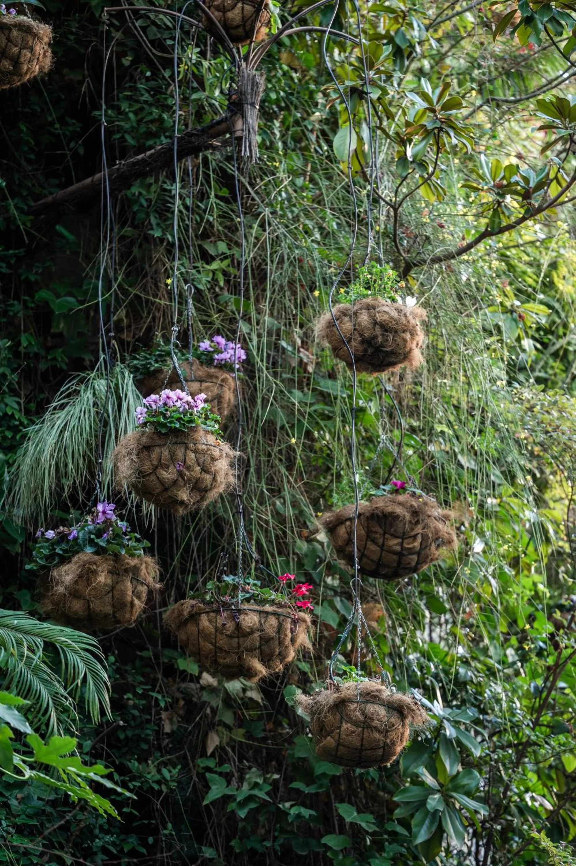 Garden in Inhala Hotel Garden