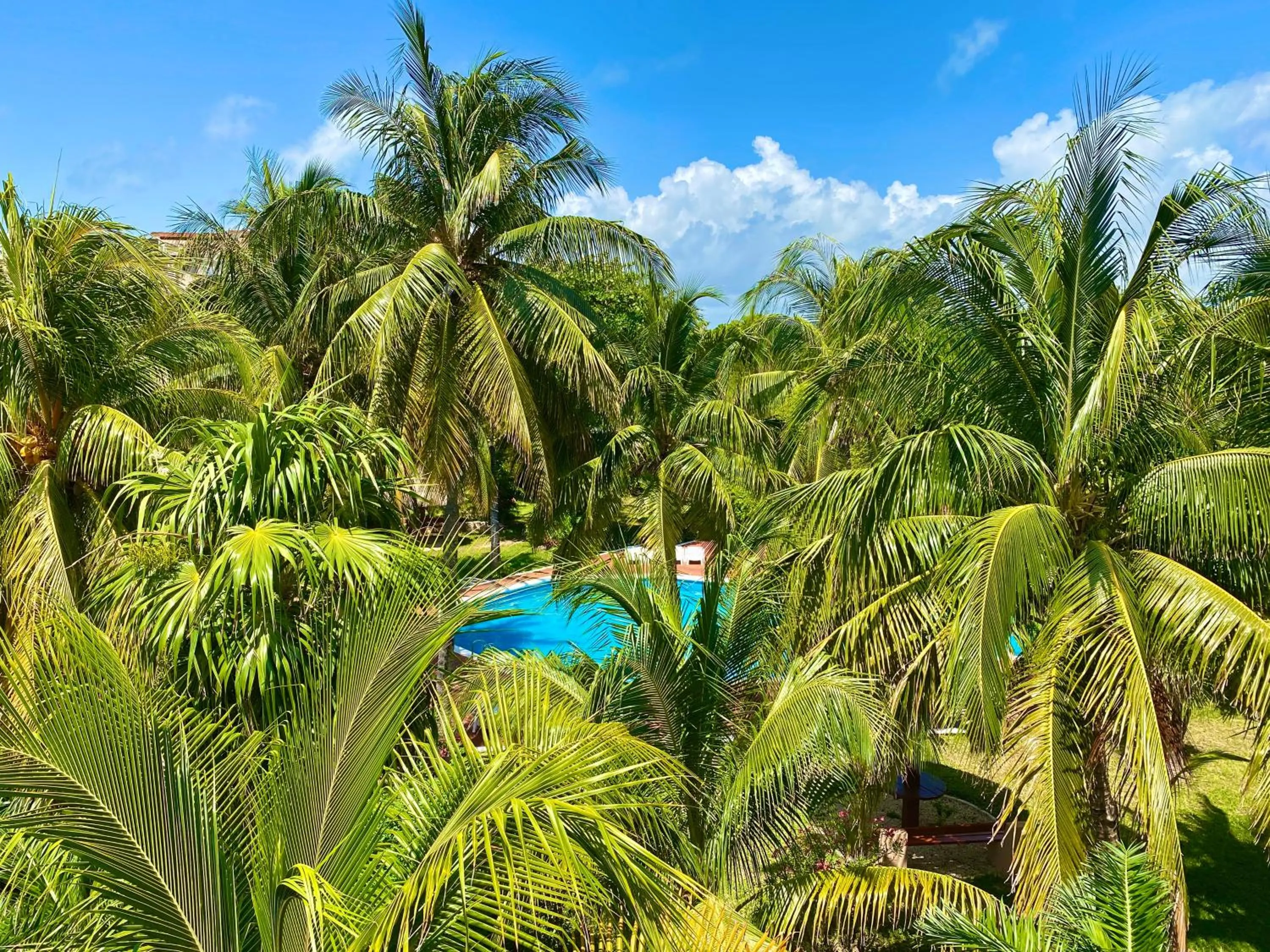 Pool view in Villas Tropical By Andiani