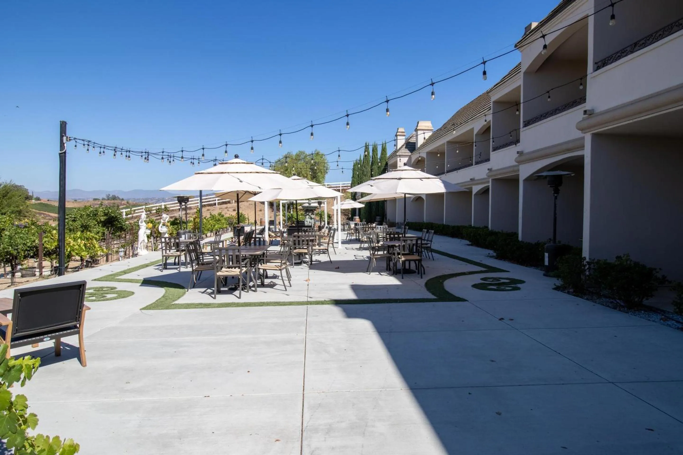 View (from property/room) in Churon Inn Winery