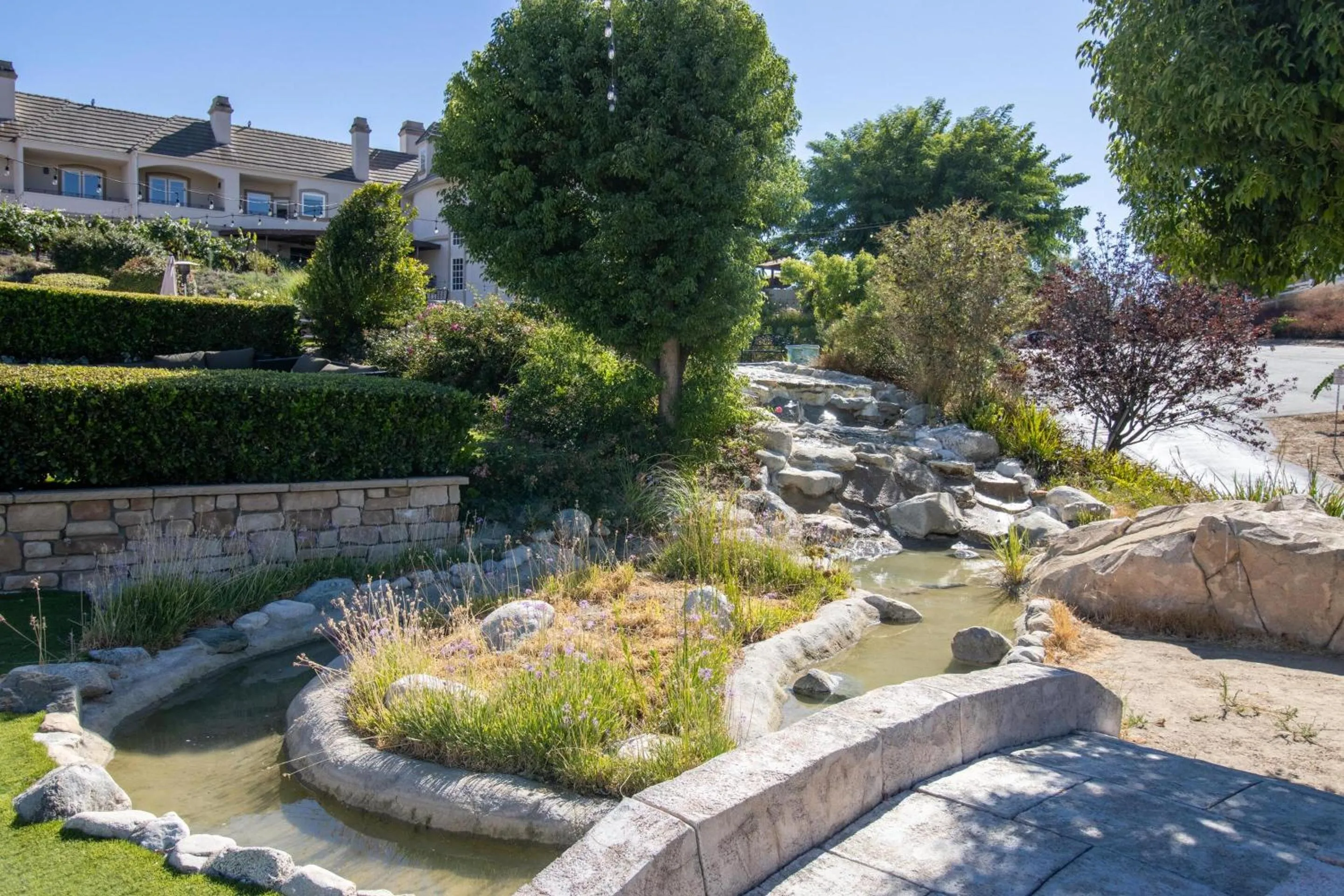 View (from property/room) in Churon Inn Winery