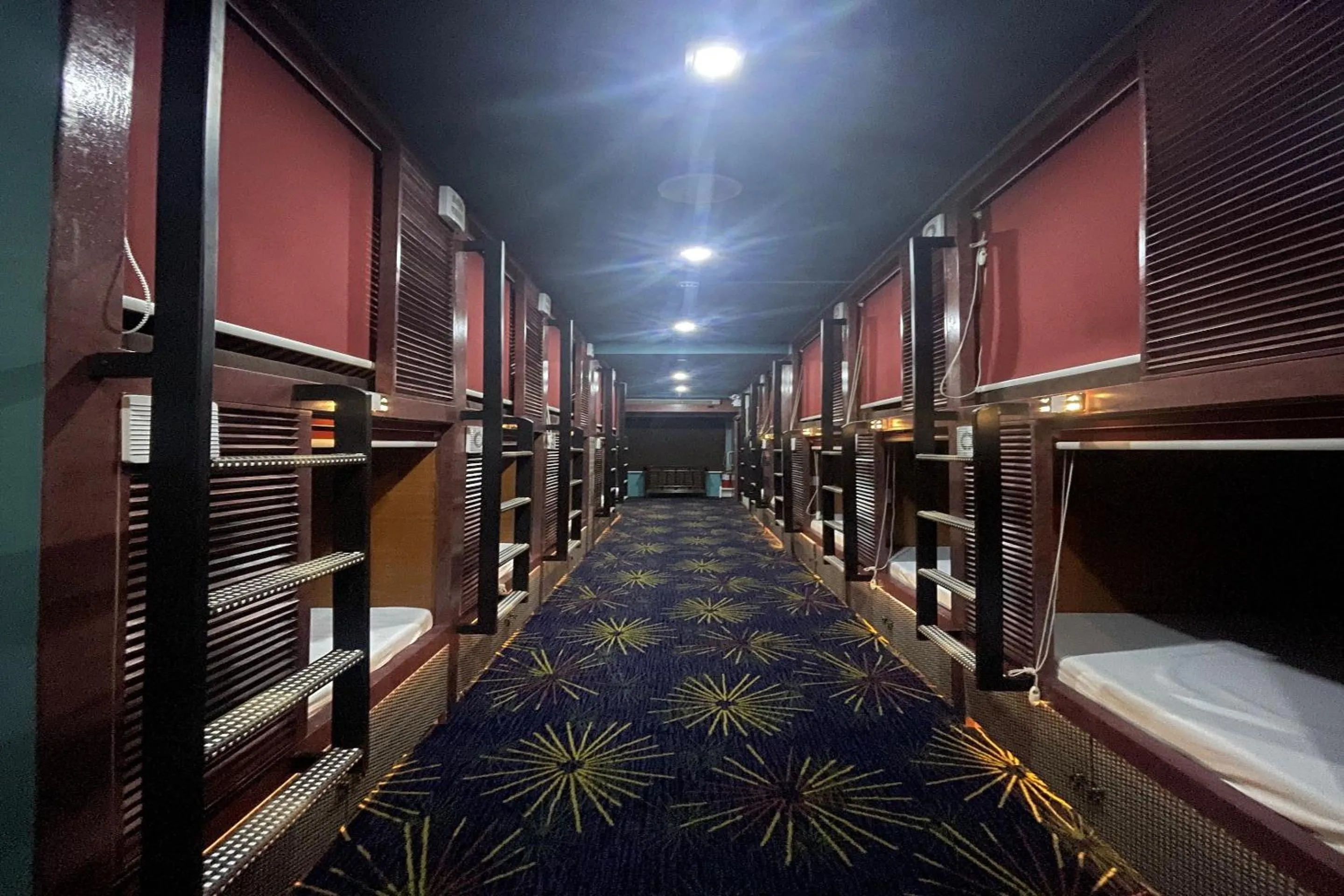 Bed in Attic Capsule Hotel