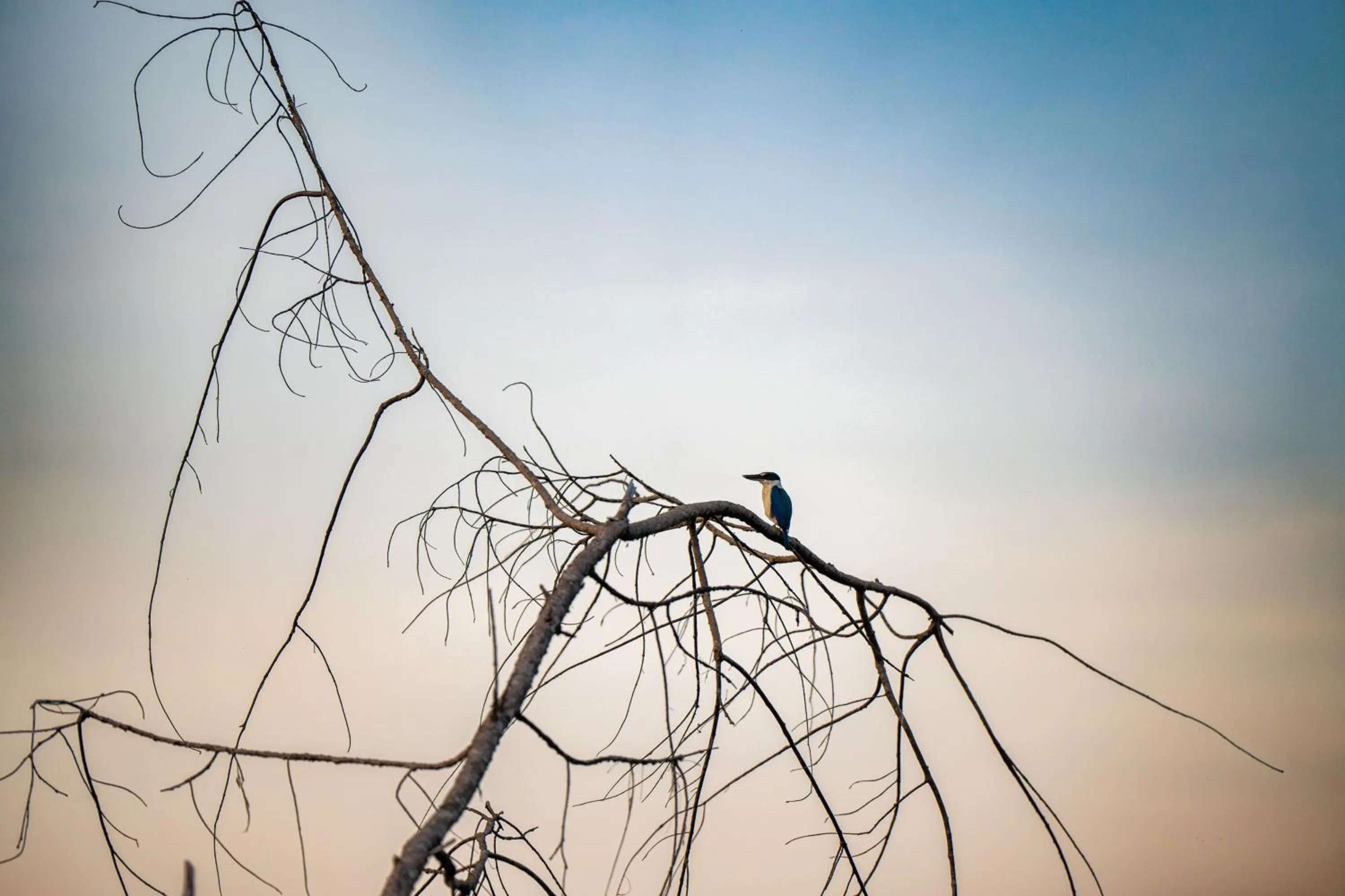 Other in JW Marriott Khao Lak Resort Suites