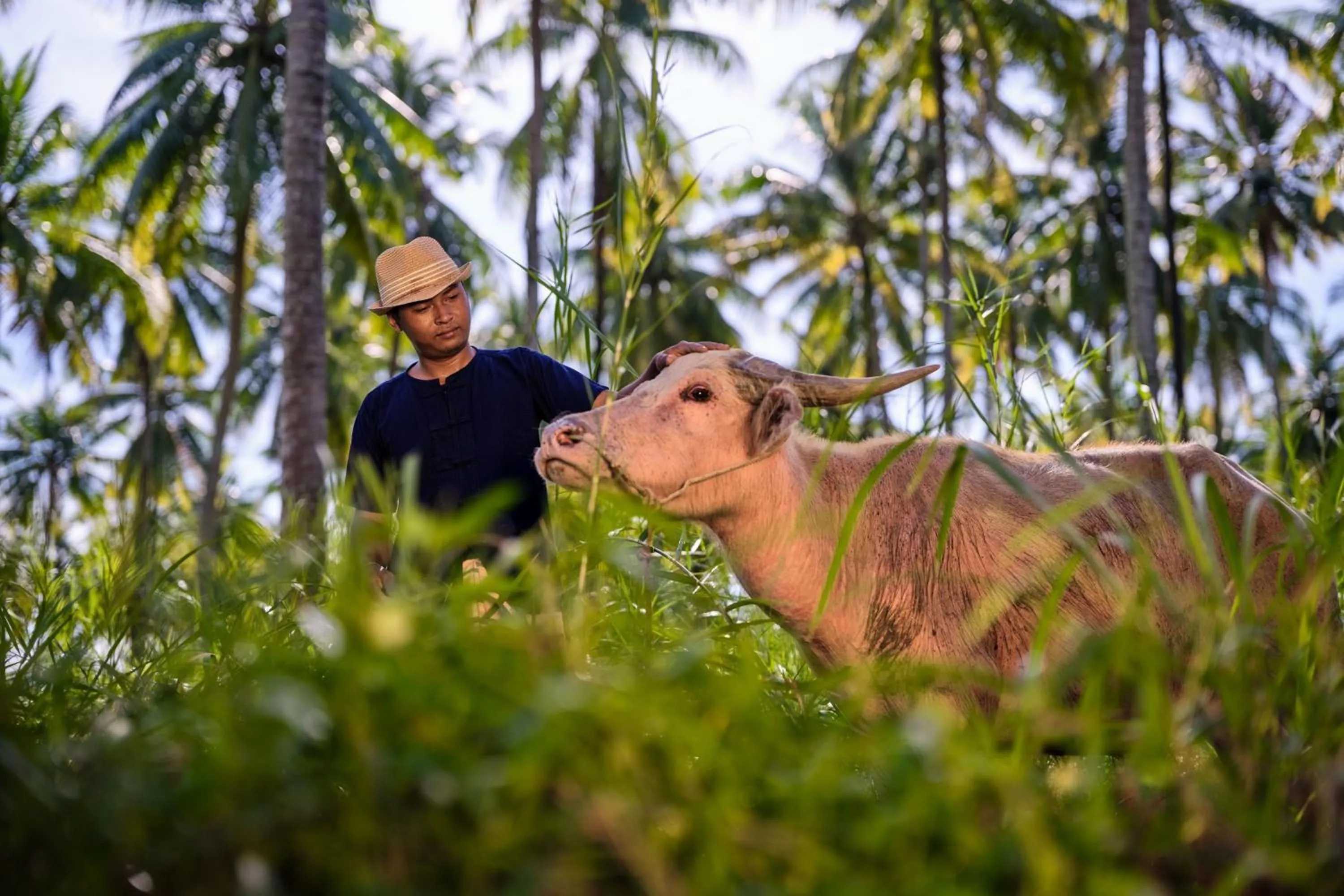 Other in JW Marriott Khao Lak Resort Suites