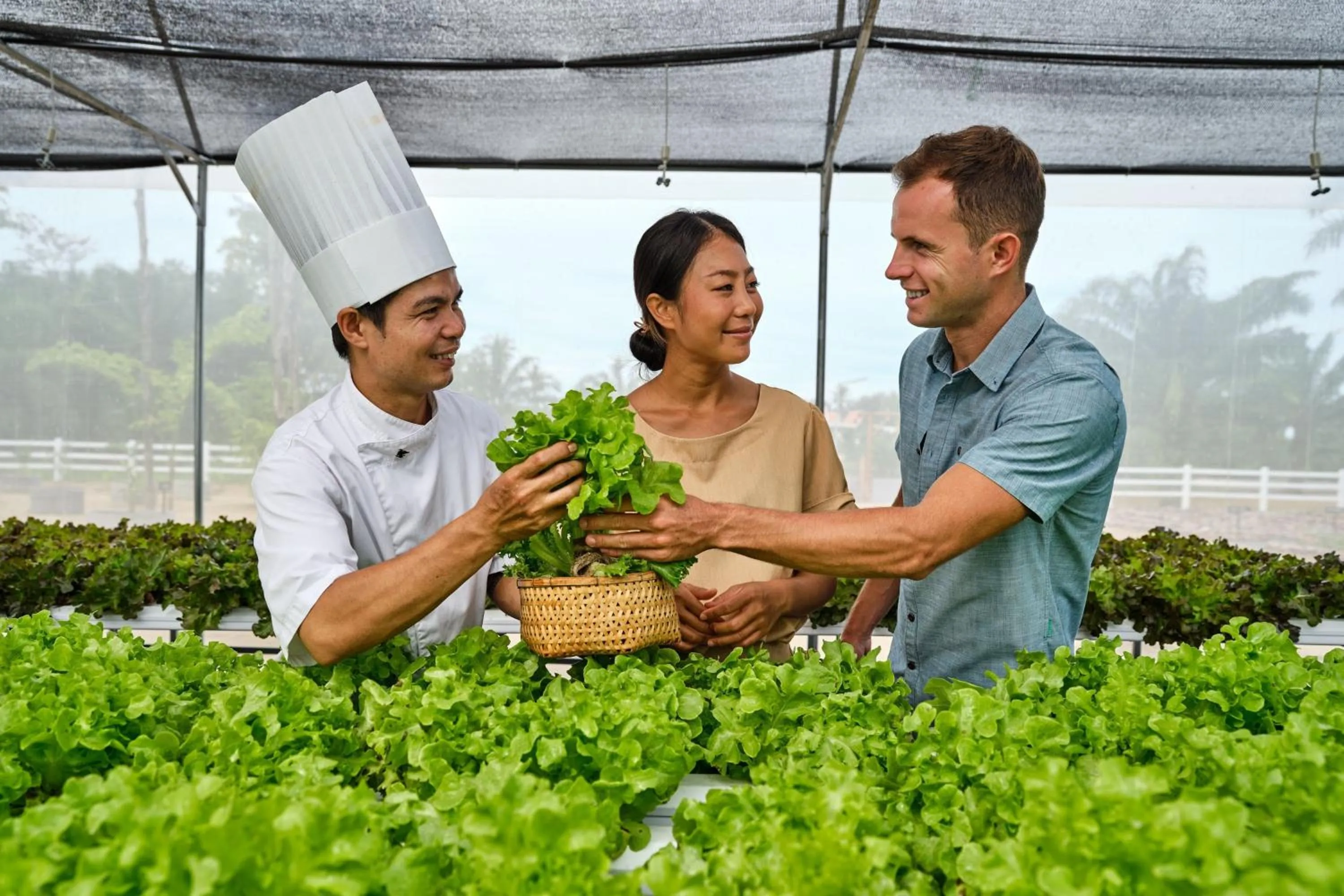 Other in JW Marriott Khao Lak Resort Suites