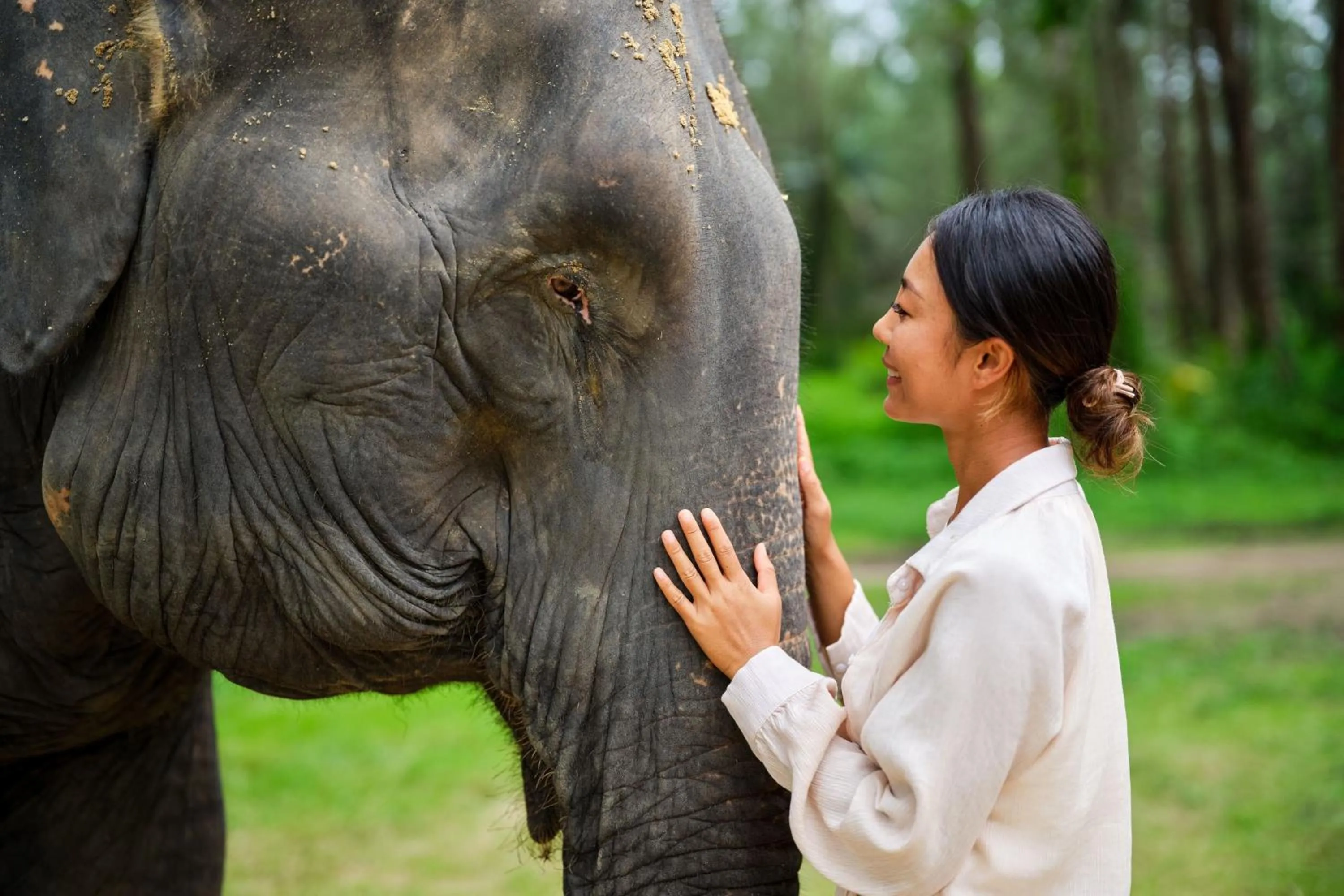 Other in JW Marriott Khao Lak Resort Suites