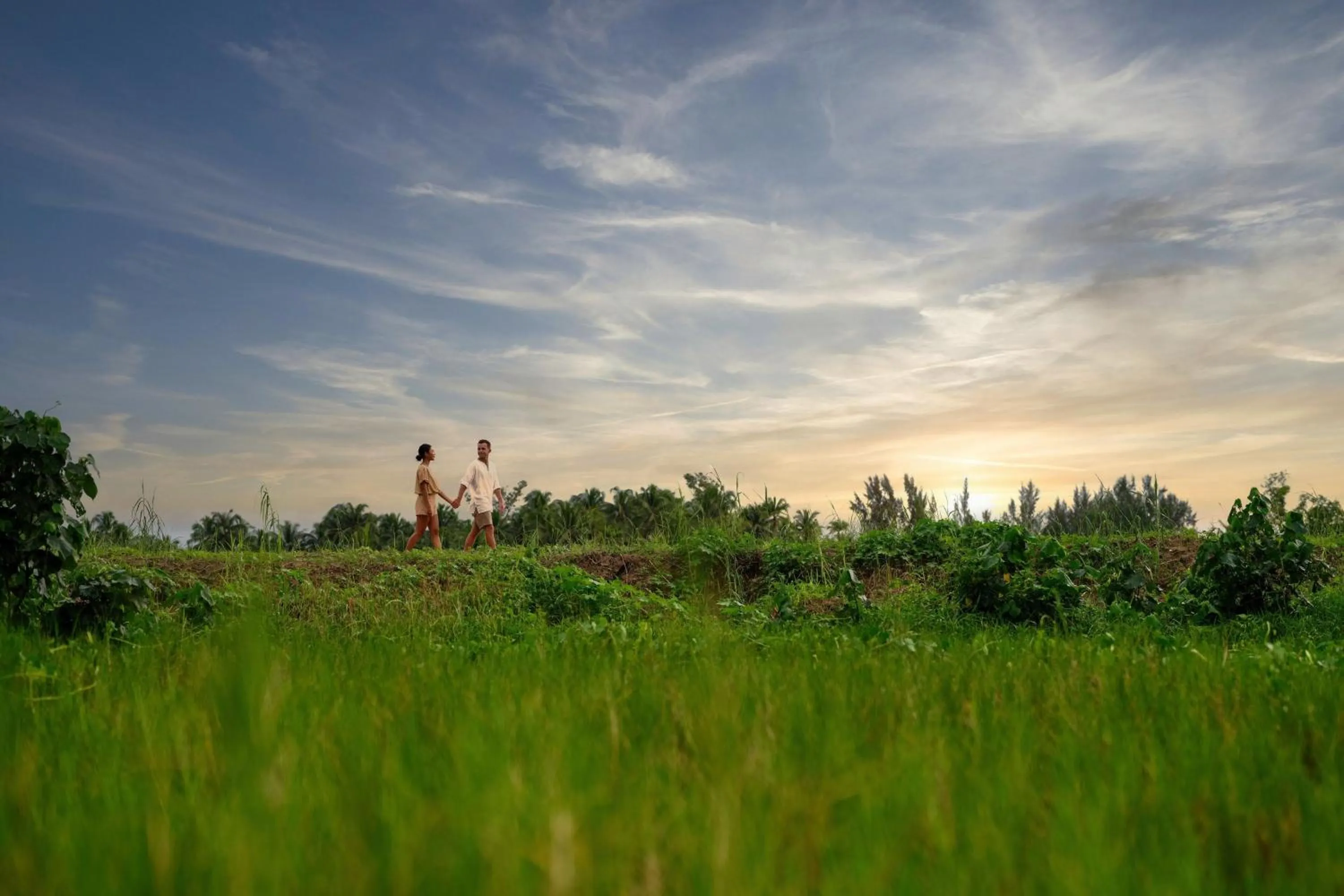 Other in JW Marriott Khao Lak Resort Suites