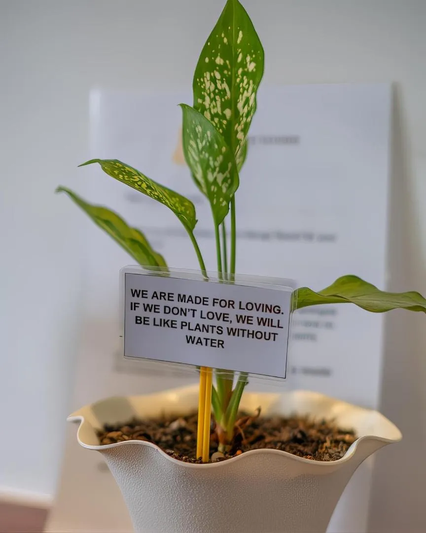 Decorative detail in Yellow Mango Resort Bohol