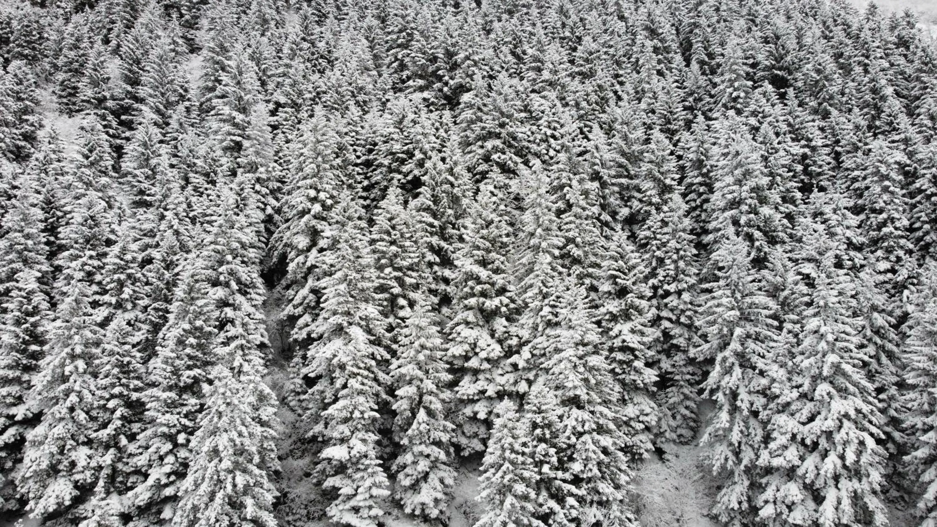 Natural landscape in PAZARCIK MOUNTAIN HOTEL