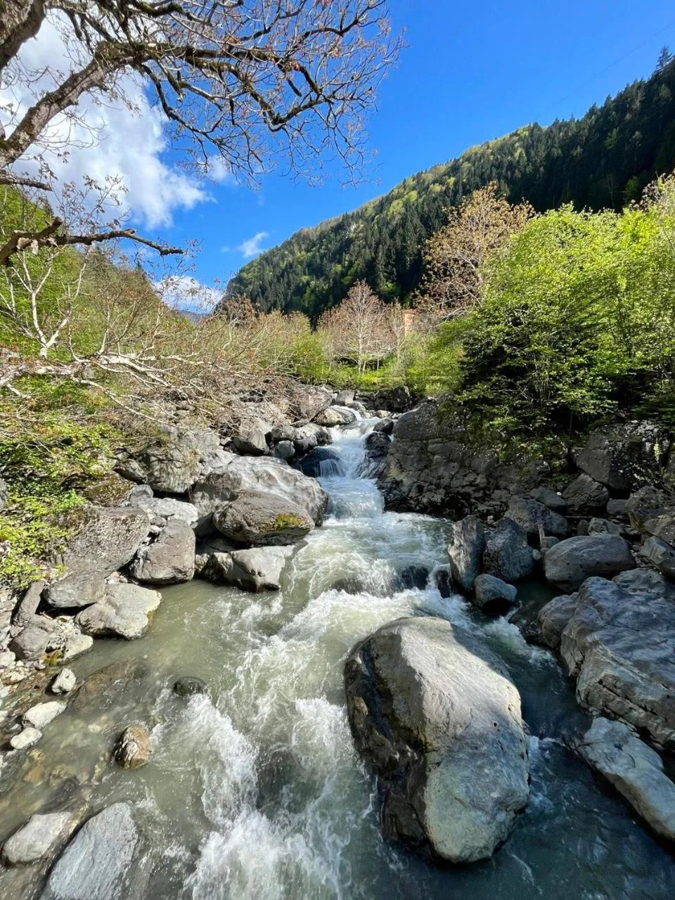 PAZARCIK MOUNTAIN HOTEL