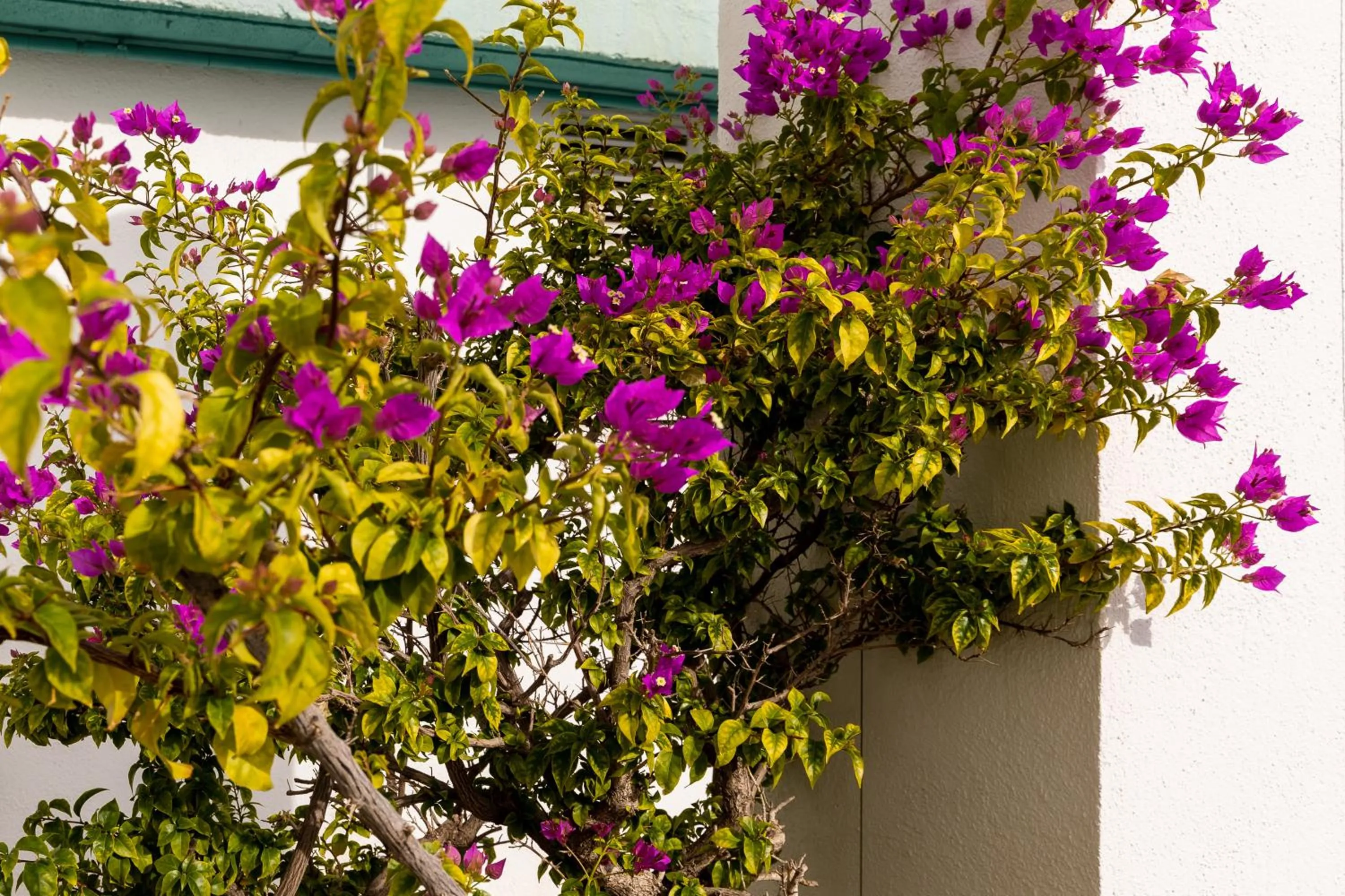 Off site in Onix Fira