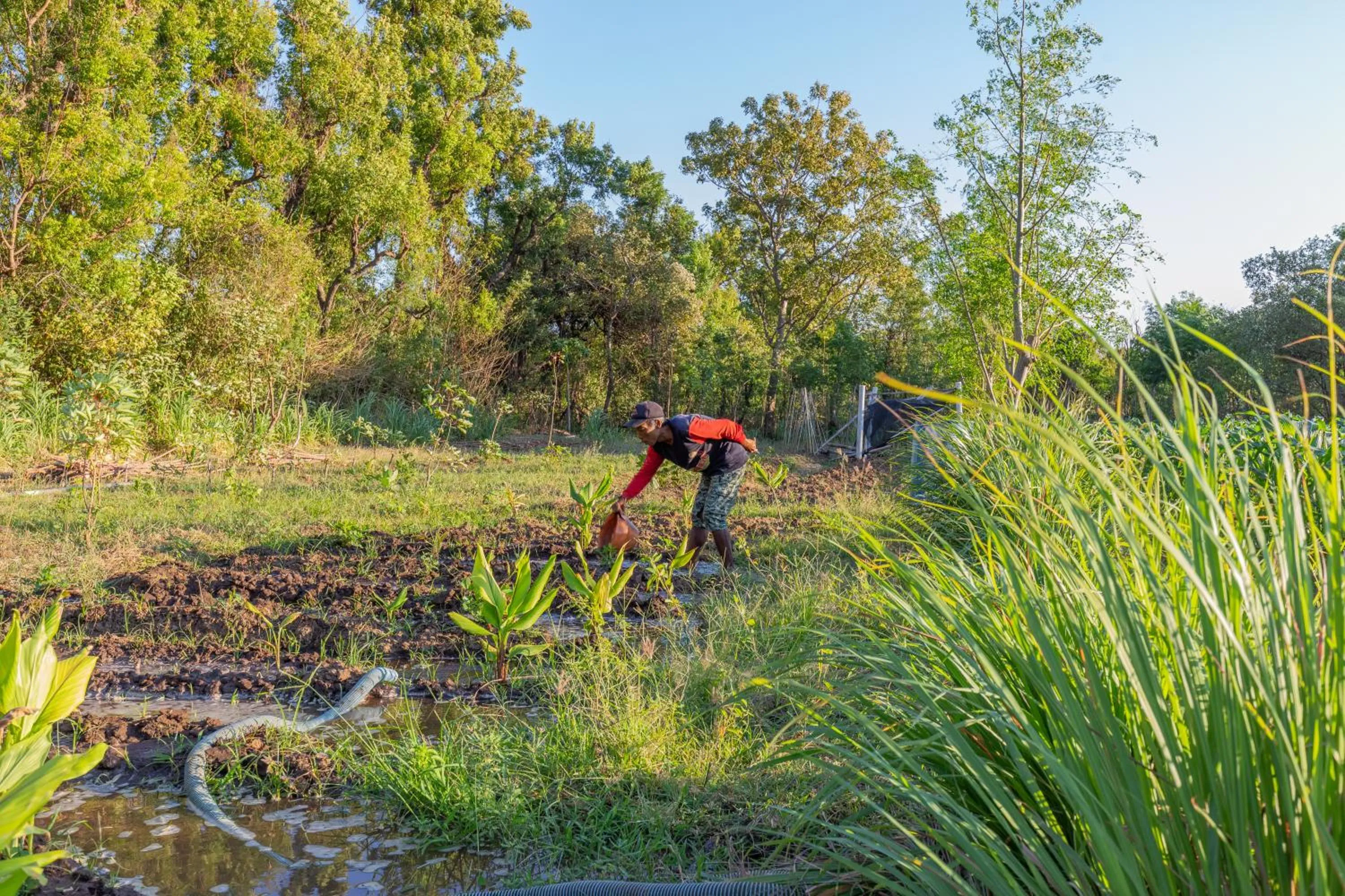 Garden in Taman Bidadari Eco Wellness