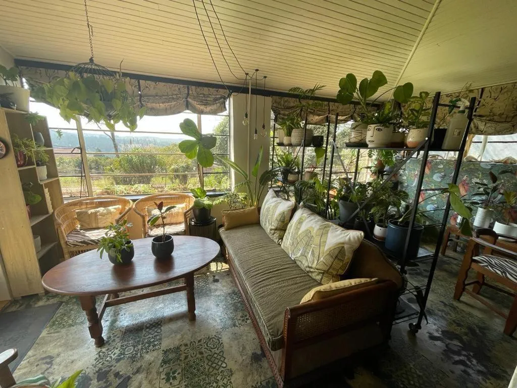 View (from property/room) in A Bird Cage Stay & Cottage