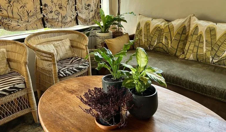 Patio in A Bird Cage Stay & Cottage