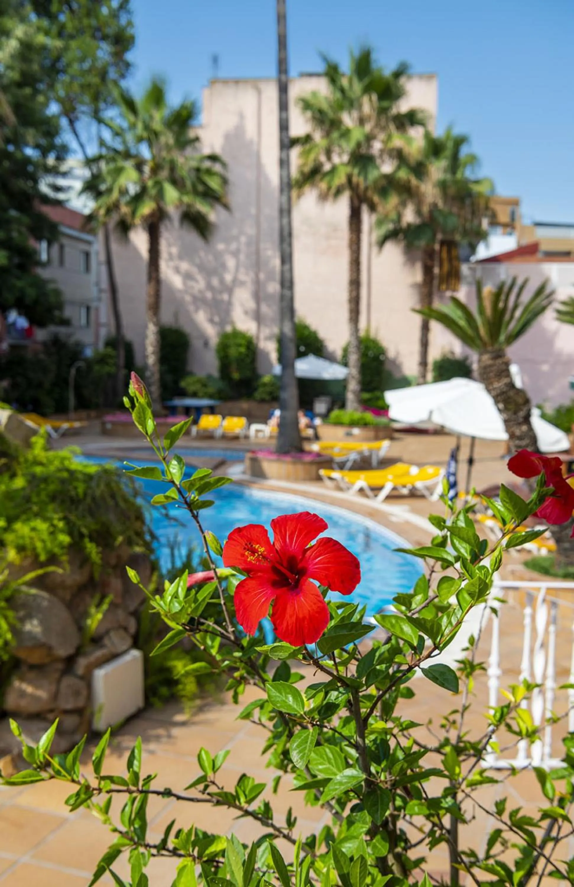 Off site in Hotel Guitart Rosa - Adults Only