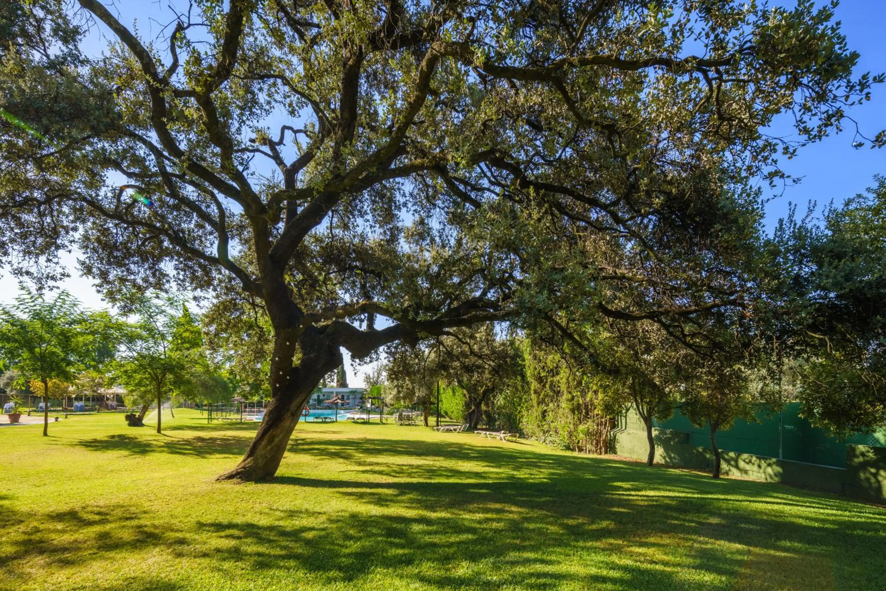 Off site in Crisol Jardines de Córdoba