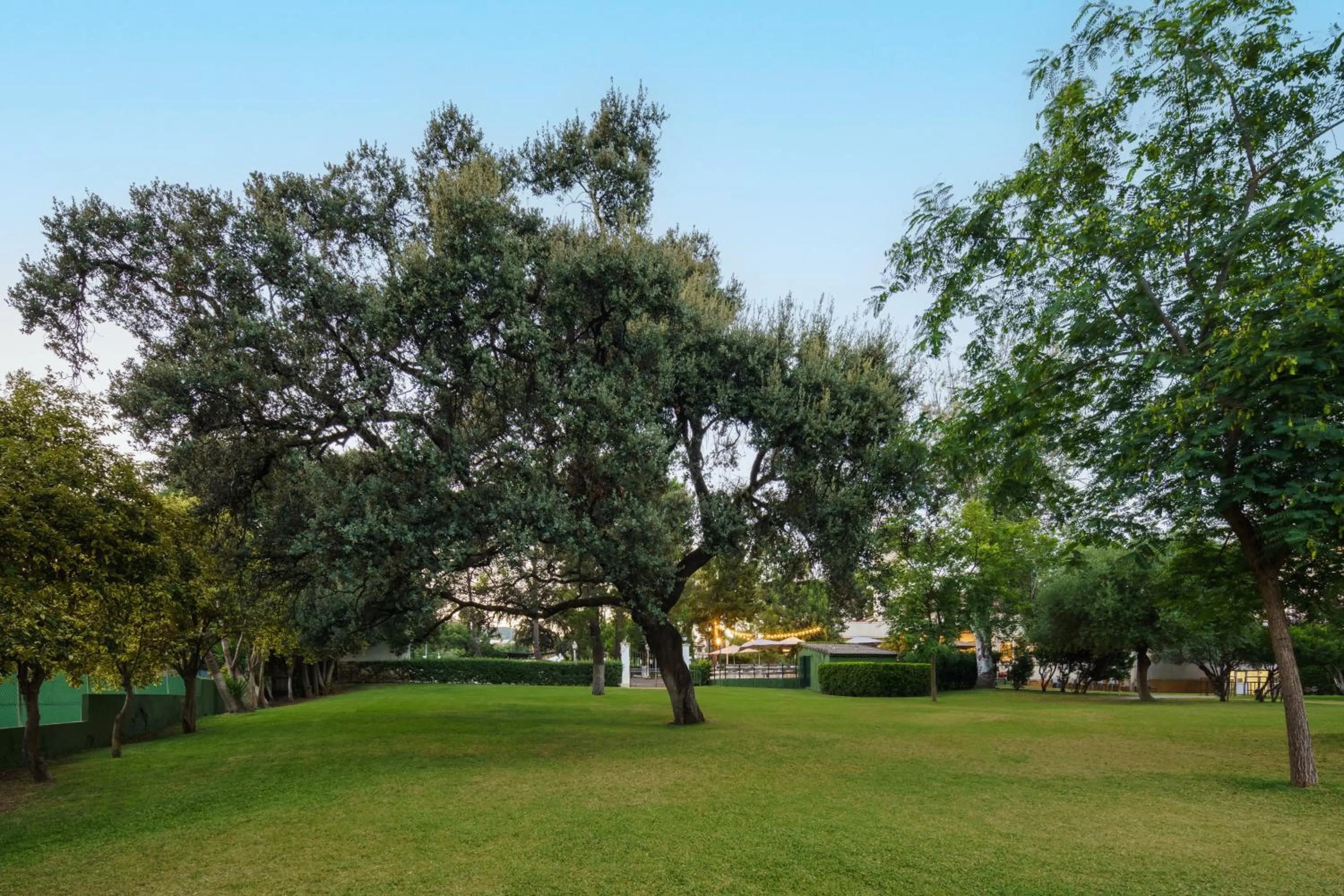 Garden view in Crisol Jardines de Córdoba
