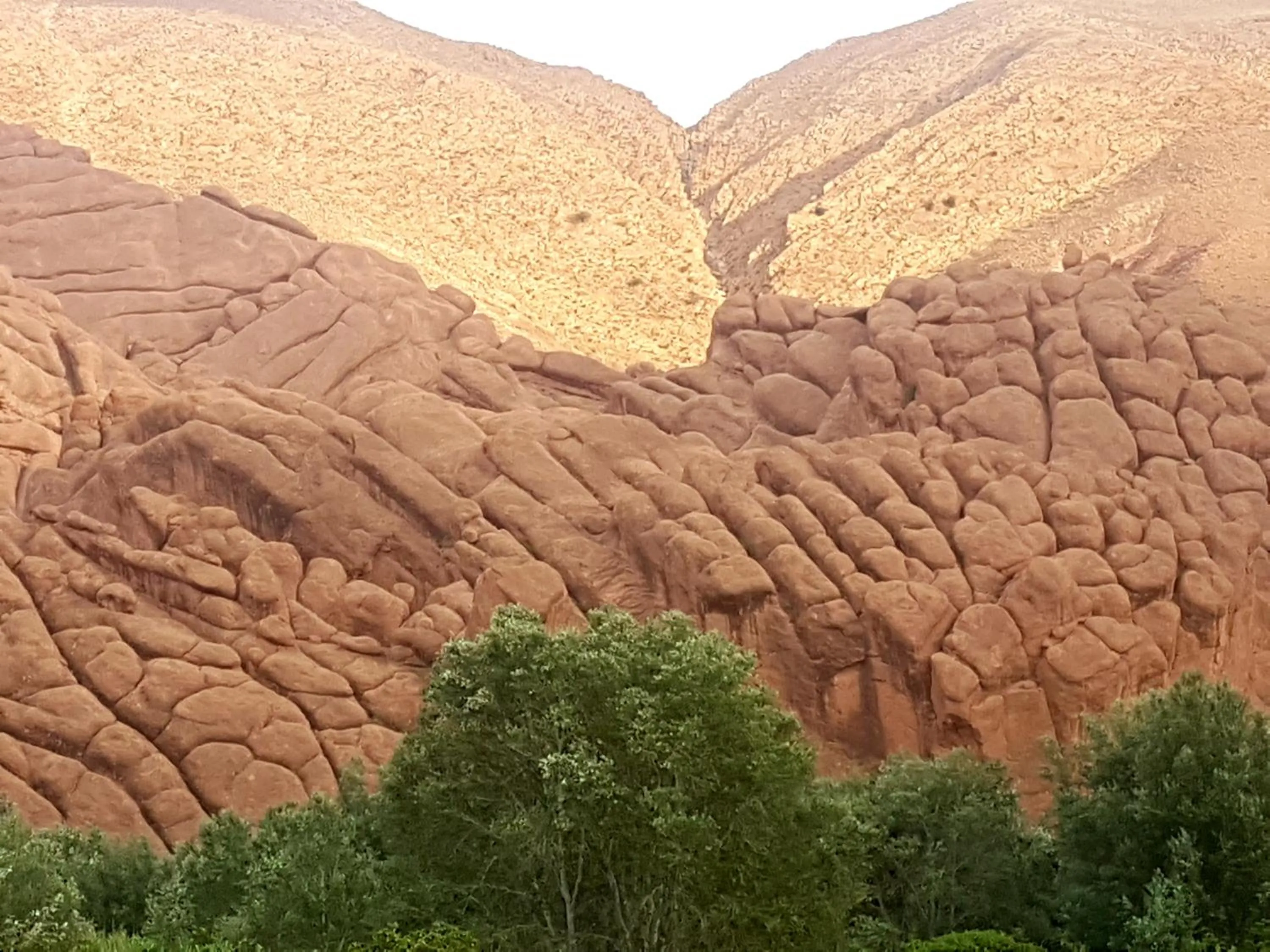 Auberge Kasbah Ait Marghad