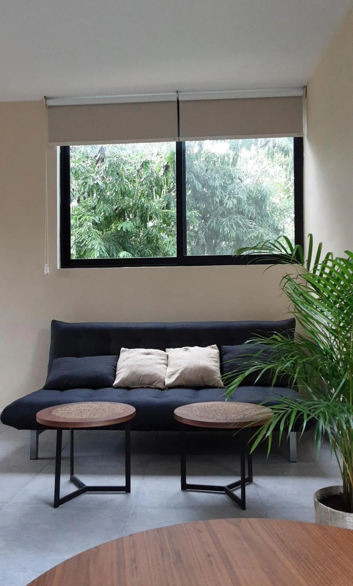 Garden in Naajal Tulum Boutique Hotel - Magic & Jungle