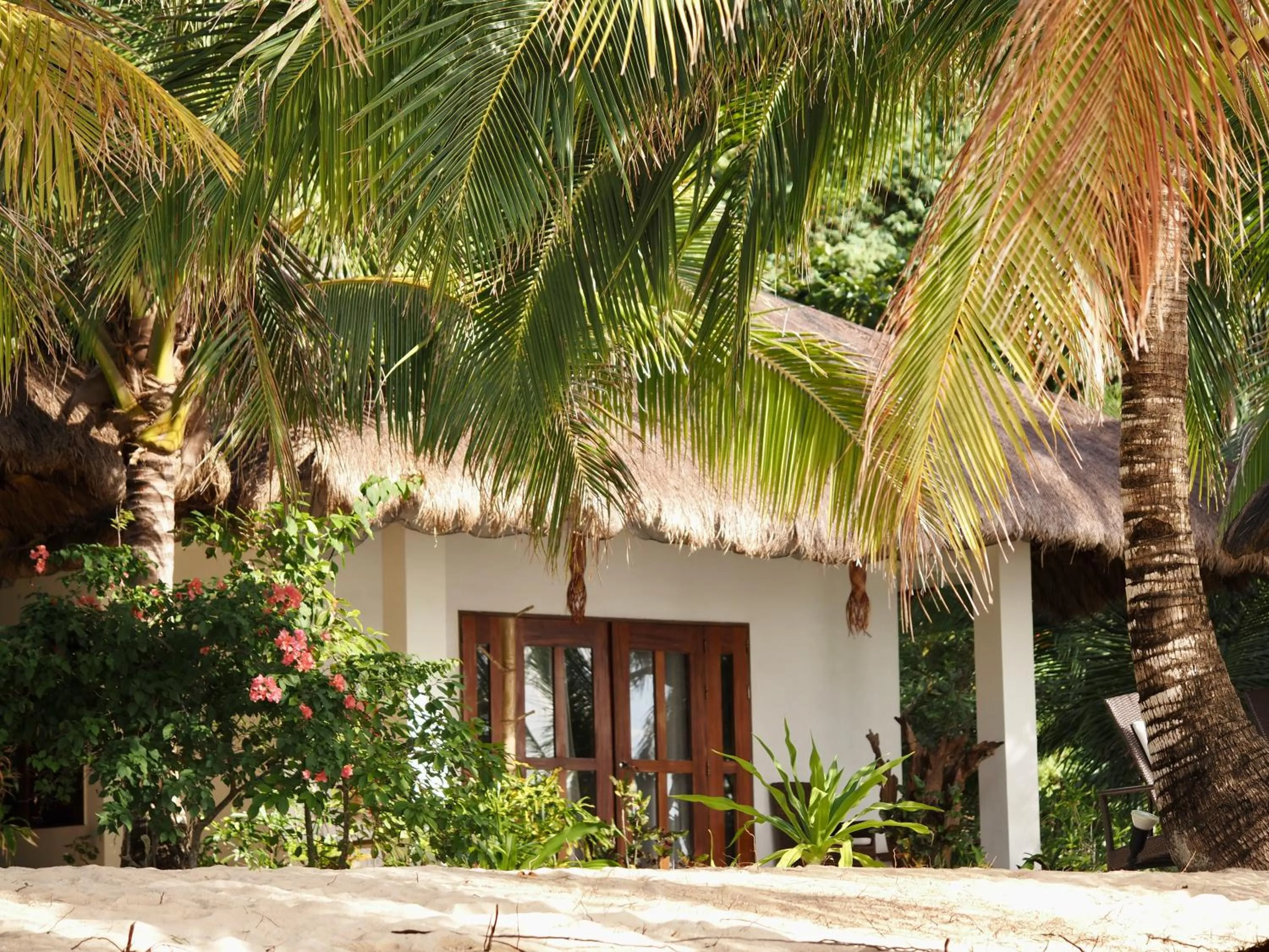 Garden in San Nicolas Private Beach