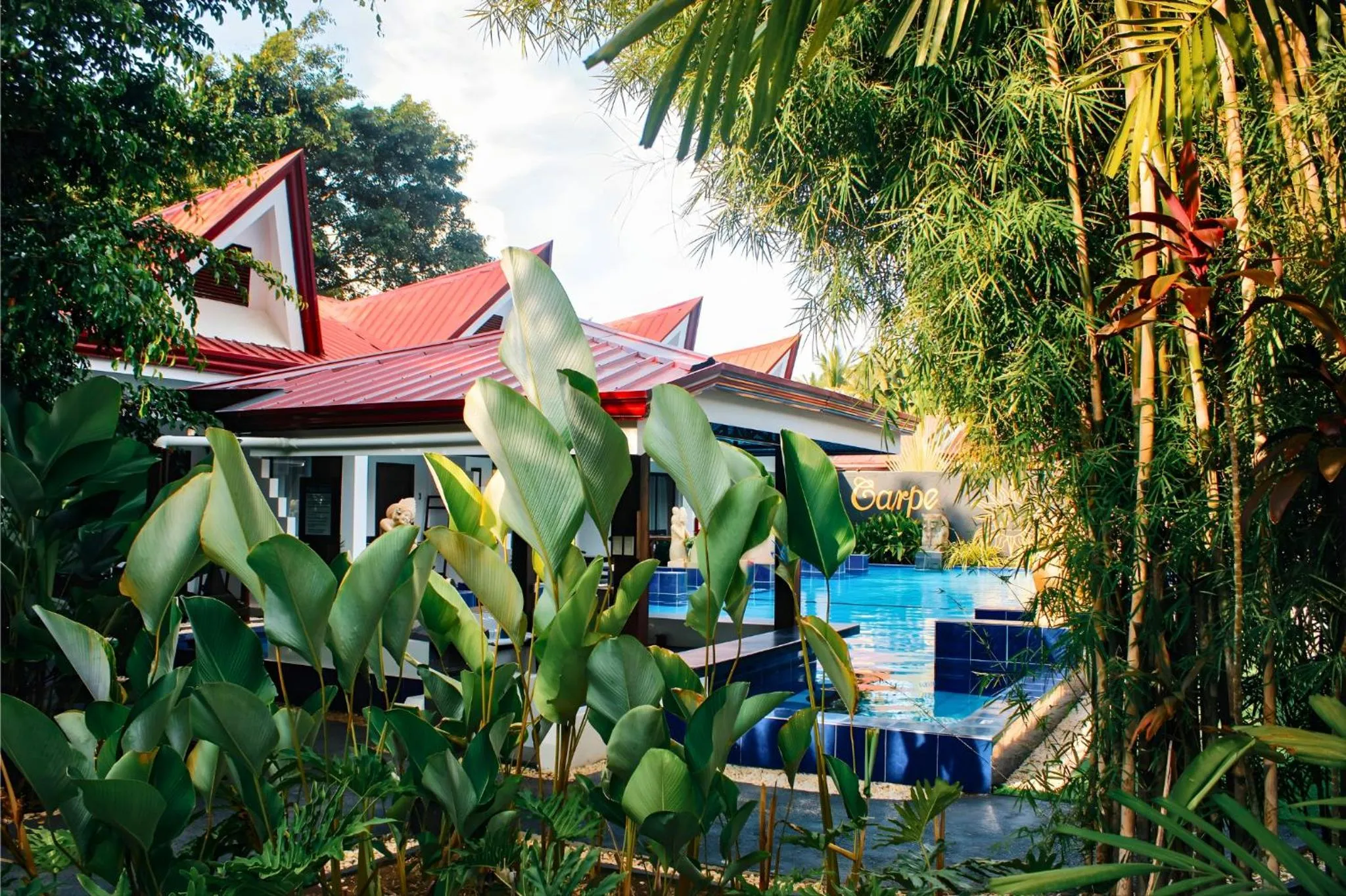Swimming pool in Carpe Diem Villas & Resort