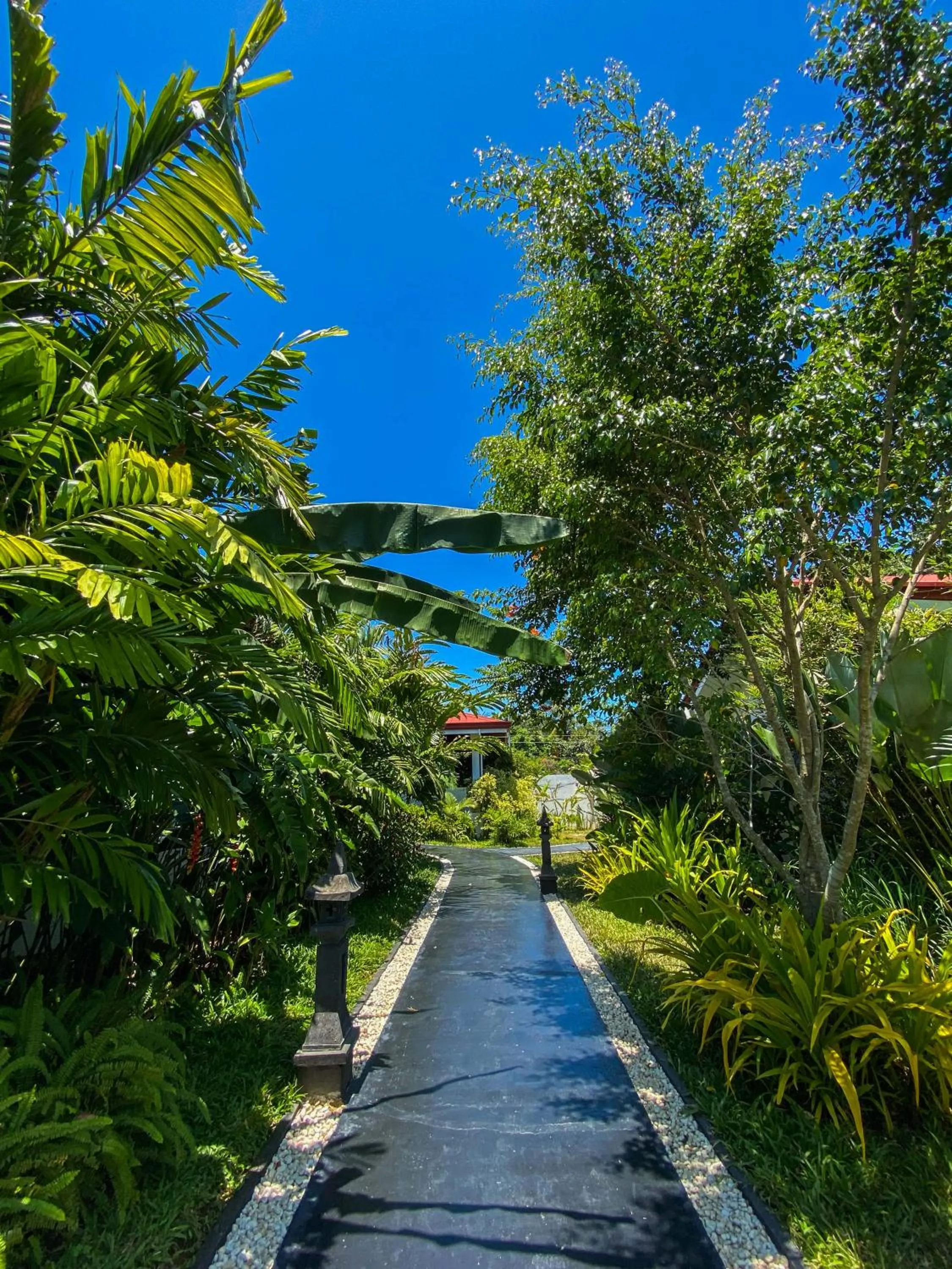 View (from property/room) in Carpe Diem Villas & Resort Dive & Stay resort